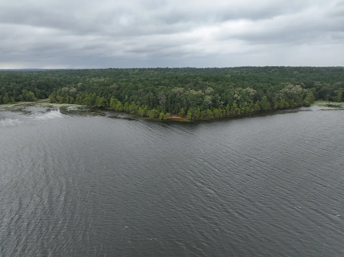 Unimproved Land For Sale in Sabine (TX) County , 14 Arledge Trail/Off Gateway Meadows, Hemphill, Texas 75948, 0, 0, Garage spaces, 0 Sqft, built in 0, Price $1,118,600, mls#21342721, Real Estate Agent in Hemphill, Homes For Sale in Sabine (TX) county, Homes For Sale in Hemphill, Realtor in Hemphill Texas, Real Estate Brokerage Independent Realty Texas, Luminita Cordes Realtor