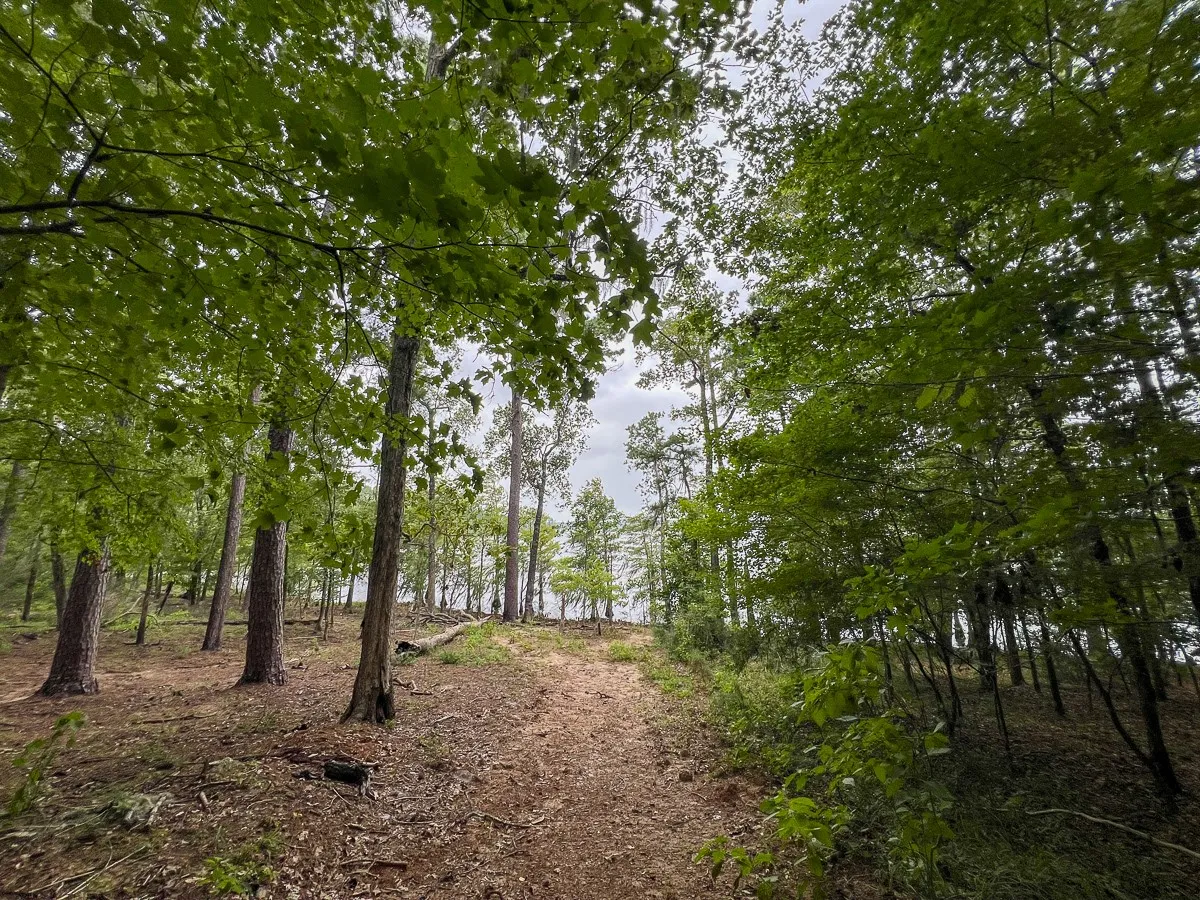 Unimproved Land For Sale in Sabine (TX) County , 14 Arledge Trail/Off Gateway Meadows, Hemphill, Texas 75948, 0, 0, Garage spaces, 0 Sqft, built in 0, Price $1,118,600, mls#21342721, Real Estate Agent in Hemphill, Homes For Sale in Sabine (TX) county, Homes For Sale in Hemphill, Realtor in Hemphill Texas, Real Estate Brokerage Independent Realty Texas, Luminita Cordes Realtor
