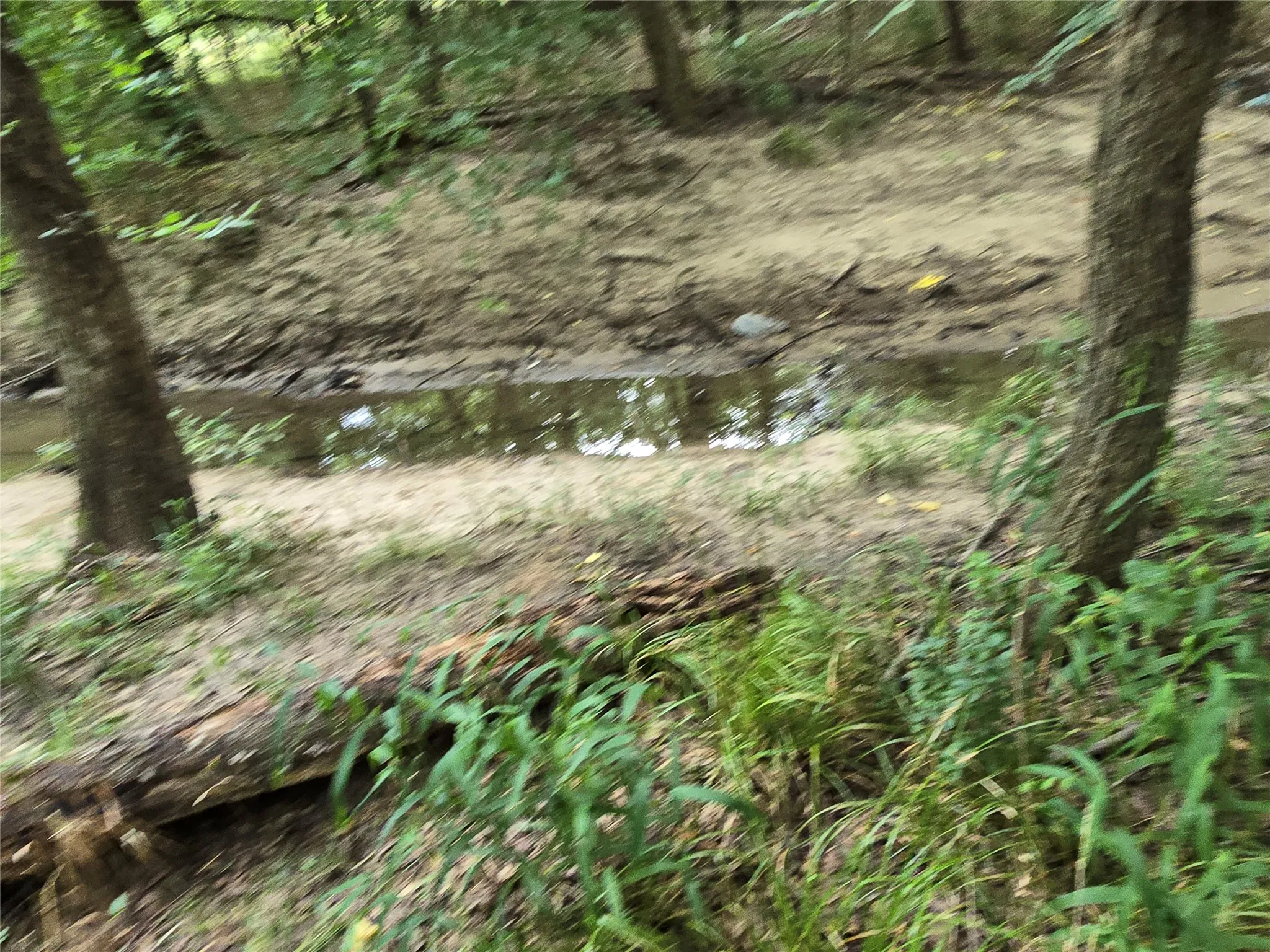 Creek going across back of property