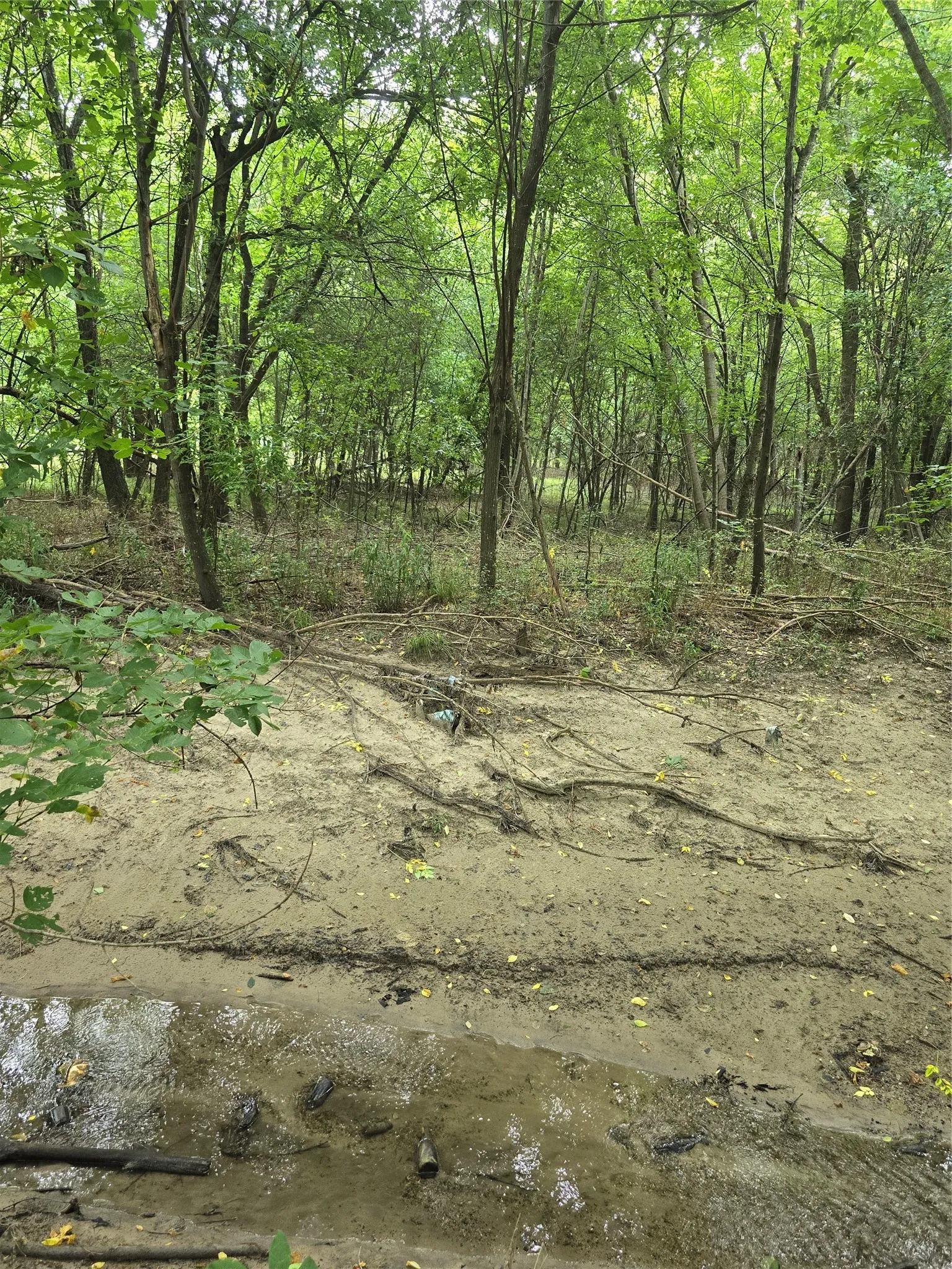 Creek going across back of property