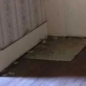 Single Family Residence For Sale in Taylor County , 210 Clinton Street, Abilene, Texas 79603, 4 Bedroom, 2 Bathroom, Garage spaces, 2,892 Sqft, built in 1905, mls#21342767, Real Estate Agent in Abilene, Homes For Sale in Taylor county, Homes For Sale in Abilene, Realtor in Abilene Texas, Real Estate Brokerage Independent Realty Texas, Luminita Cordes Realtor