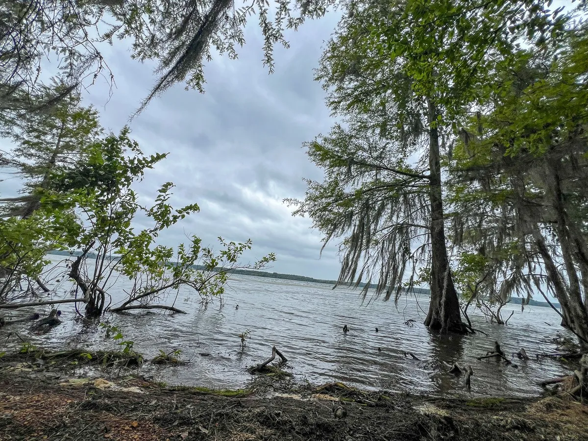 Unimproved Land For Sale in Sabine (TX) County , T-2 Arledge Trail/Off Gateway Meadows, Hemphill, Texas 75948, 0, 0, Garage spaces, 0 Sqft, built in 0, Price $359,550, mls#21342786, Real Estate Agent in Hemphill, Homes For Sale in Sabine (TX) county, Homes For Sale in Hemphill, Realtor in Hemphill Texas, Real Estate Brokerage Independent Realty Texas, Luminita Cordes Realtor