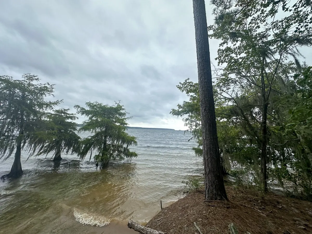 Unimproved Land For Sale in Sabine (TX) County , T-2 Arledge Trail/Off Gateway Meadows, Hemphill, Texas 75948, 0, 0, Garage spaces, 0 Sqft, built in 0, Price $359,550, mls#21342786, Real Estate Agent in Hemphill, Homes For Sale in Sabine (TX) county, Homes For Sale in Hemphill, Realtor in Hemphill Texas, Real Estate Brokerage Independent Realty Texas, Luminita Cordes Realtor