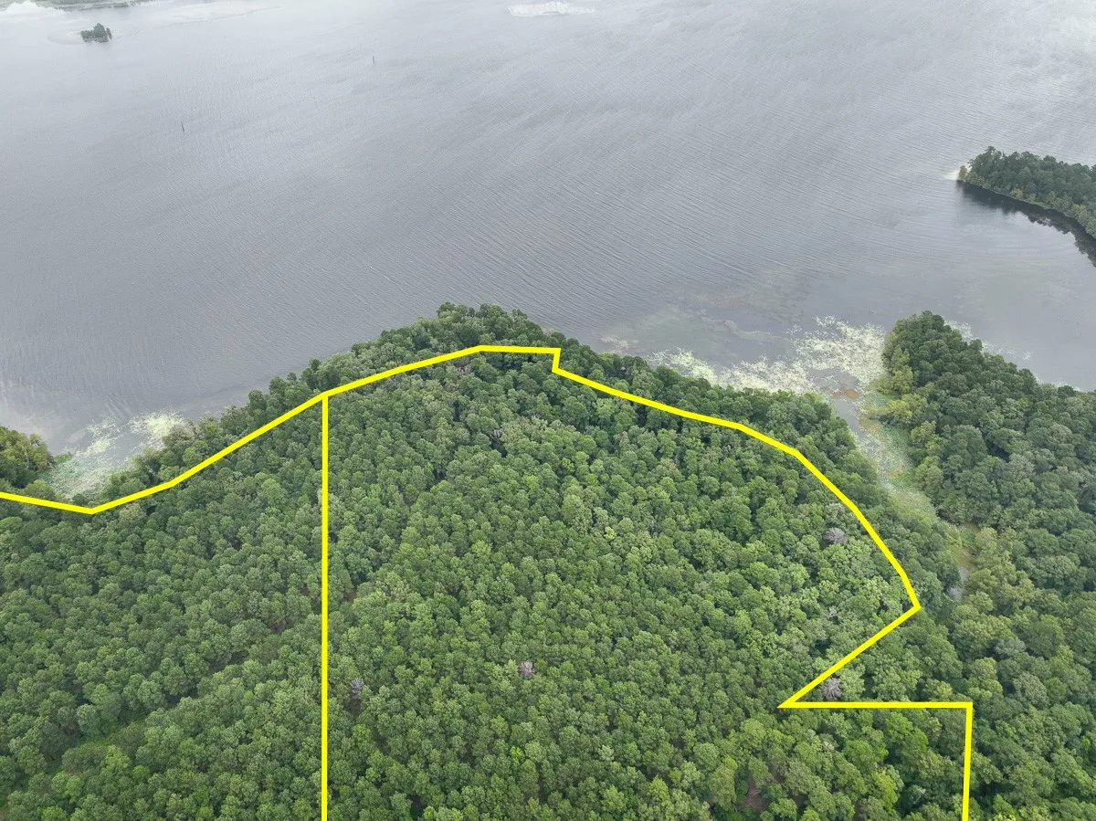 Unimproved Land For Sale in Sabine (TX) County , T-2 Arledge Trail/Off Gateway Meadows, Hemphill, Texas 75948, 0, 0, Garage spaces, 0 Sqft, built in 0, Price $359,550, mls#21342786, Real Estate Agent in Hemphill, Homes For Sale in Sabine (TX) county, Homes For Sale in Hemphill, Realtor in Hemphill Texas, Real Estate Brokerage Independent Realty Texas, Luminita Cordes Realtor