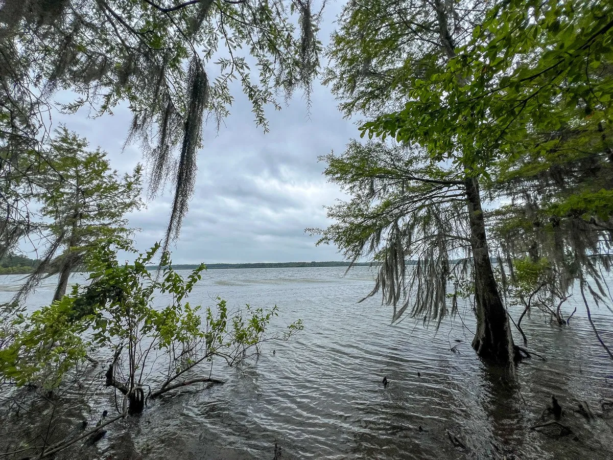 Unimproved Land For Sale in Sabine (TX) County , T-2 Arledge Trail/Off Gateway Meadows, Hemphill, Texas 75948, 0, 0, Garage spaces, 0 Sqft, built in 0, Price $359,550, mls#21342786, Real Estate Agent in Hemphill, Homes For Sale in Sabine (TX) county, Homes For Sale in Hemphill, Realtor in Hemphill Texas, Real Estate Brokerage Independent Realty Texas, Luminita Cordes Realtor