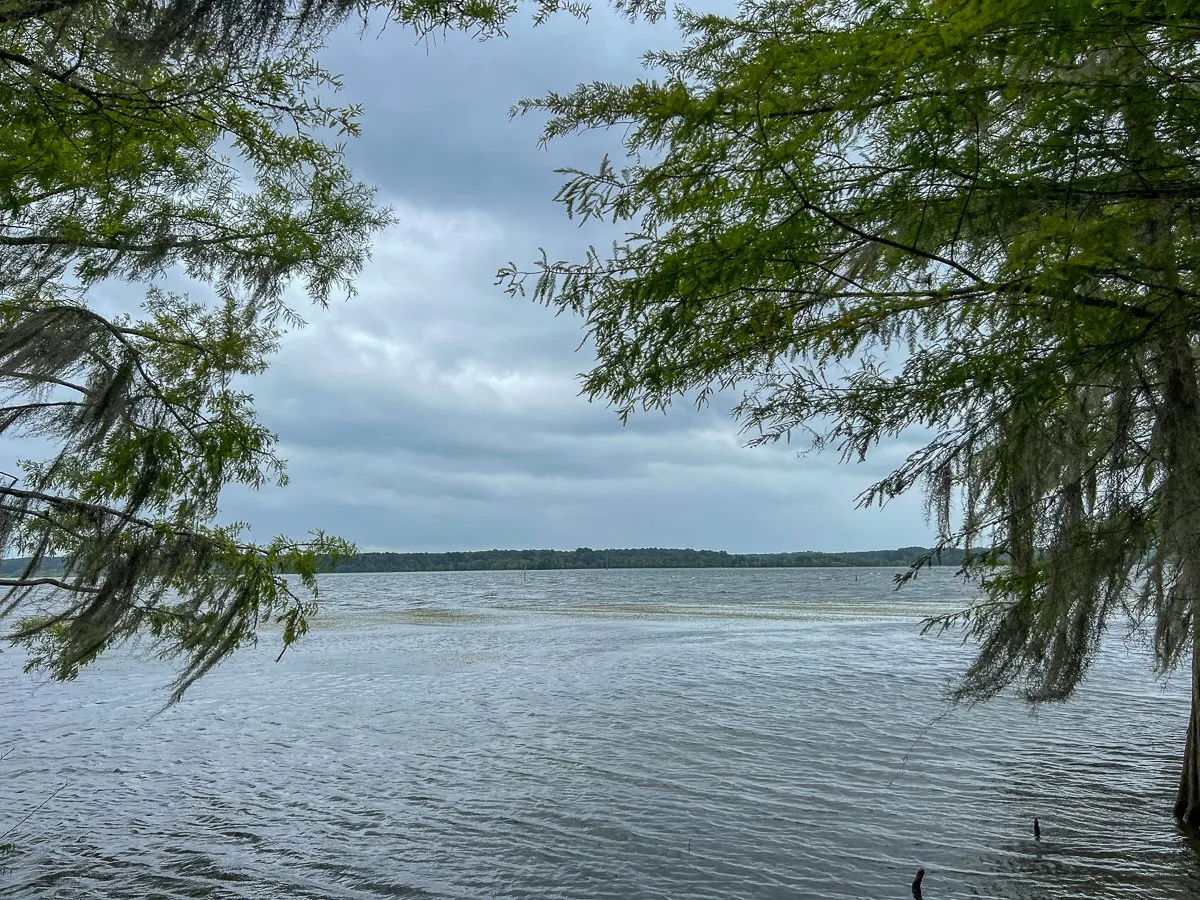 Unimproved Land For Sale in Sabine (TX) County , T-2 Arledge Trail/Off Gateway Meadows, Hemphill, Texas 75948, 0, 0, Garage spaces, 0 Sqft, built in 0, Price $359,550, mls#21342786, Real Estate Agent in Hemphill, Homes For Sale in Sabine (TX) county, Homes For Sale in Hemphill, Realtor in Hemphill Texas, Real Estate Brokerage Independent Realty Texas, Luminita Cordes Realtor