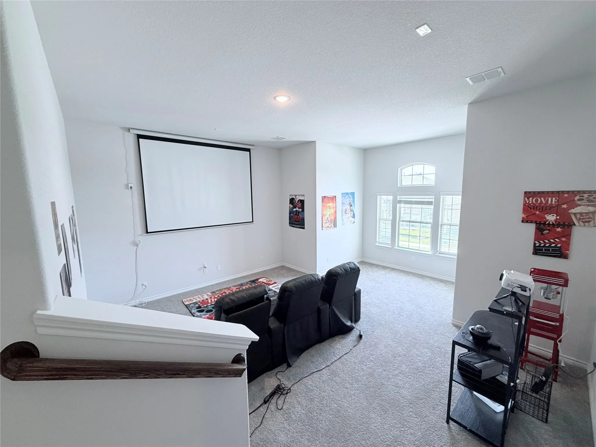 Media room that can double as a second living room or entertainment area