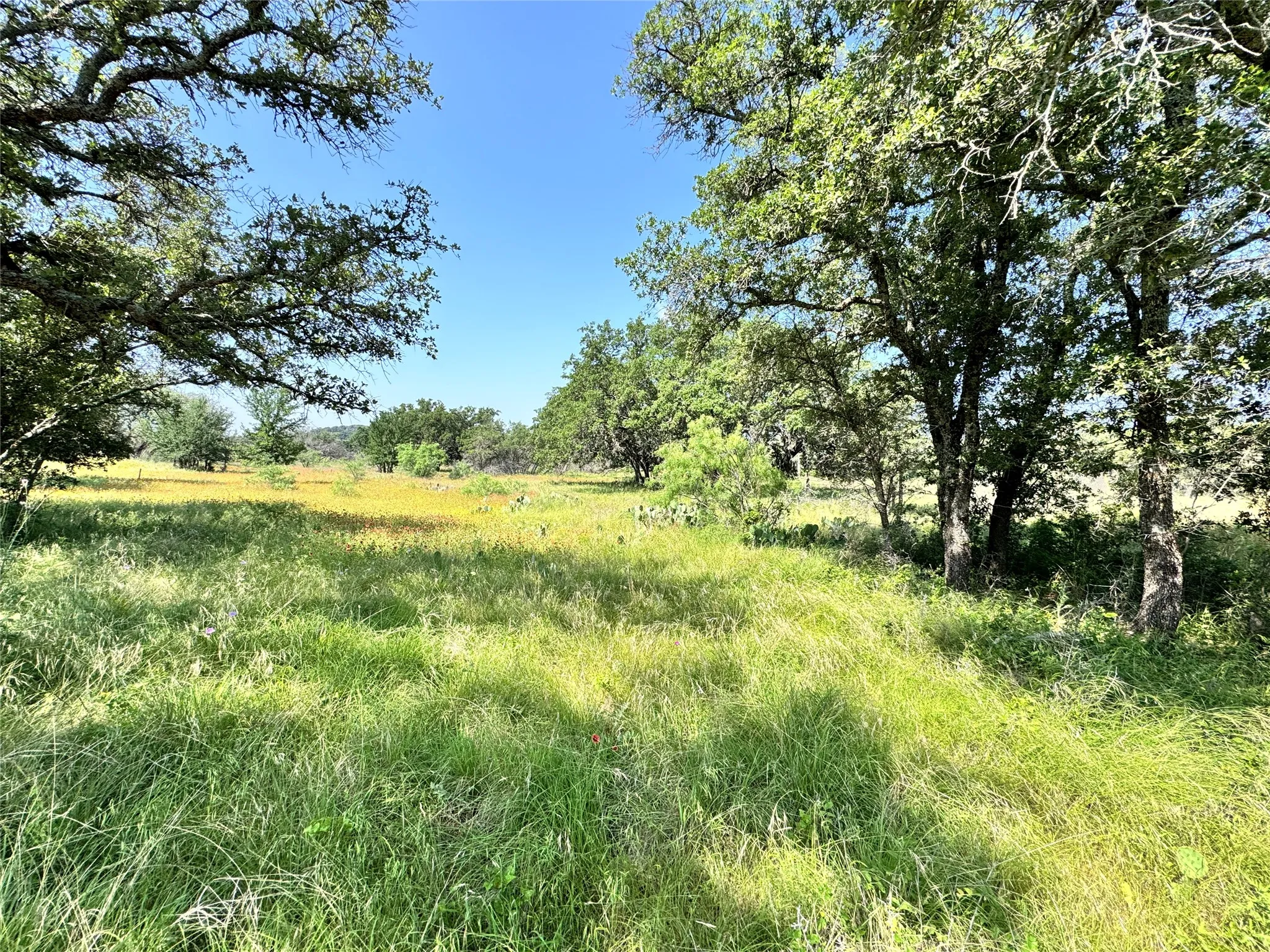 Unimproved Land For Sale in Brown County , TBD Lot 667 Lanyard Way, Brownwood, Texas 76801, 0, 0, Garage spaces, 0 Sqft, built in 0, Price $18,000, mls#21342816, Real Estate Agent in Brownwood, Homes For Sale in Brown county, Homes For Sale in Brownwood, Realtor in Brownwood Texas, Real Estate Brokerage Independent Realty Texas, Luminita Cordes Realtor