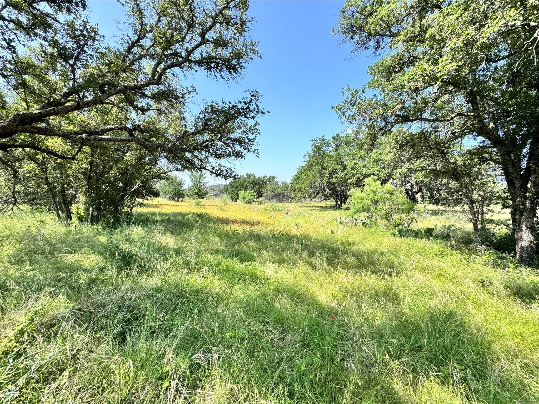 Unimproved Land For Sale in Brown County , TBD Lot 667 Lanyard Way, Brownwood, Texas 76801, 0, 0, Garage spaces, 0 Sqft, built in 0, Price $18,000, mls#21342816, Real Estate Agent in Brownwood, Homes For Sale in Brown county, Homes For Sale in Brownwood, Realtor in Brownwood Texas, Real Estate Brokerage Independent Realty Texas, Luminita Cordes Realtor