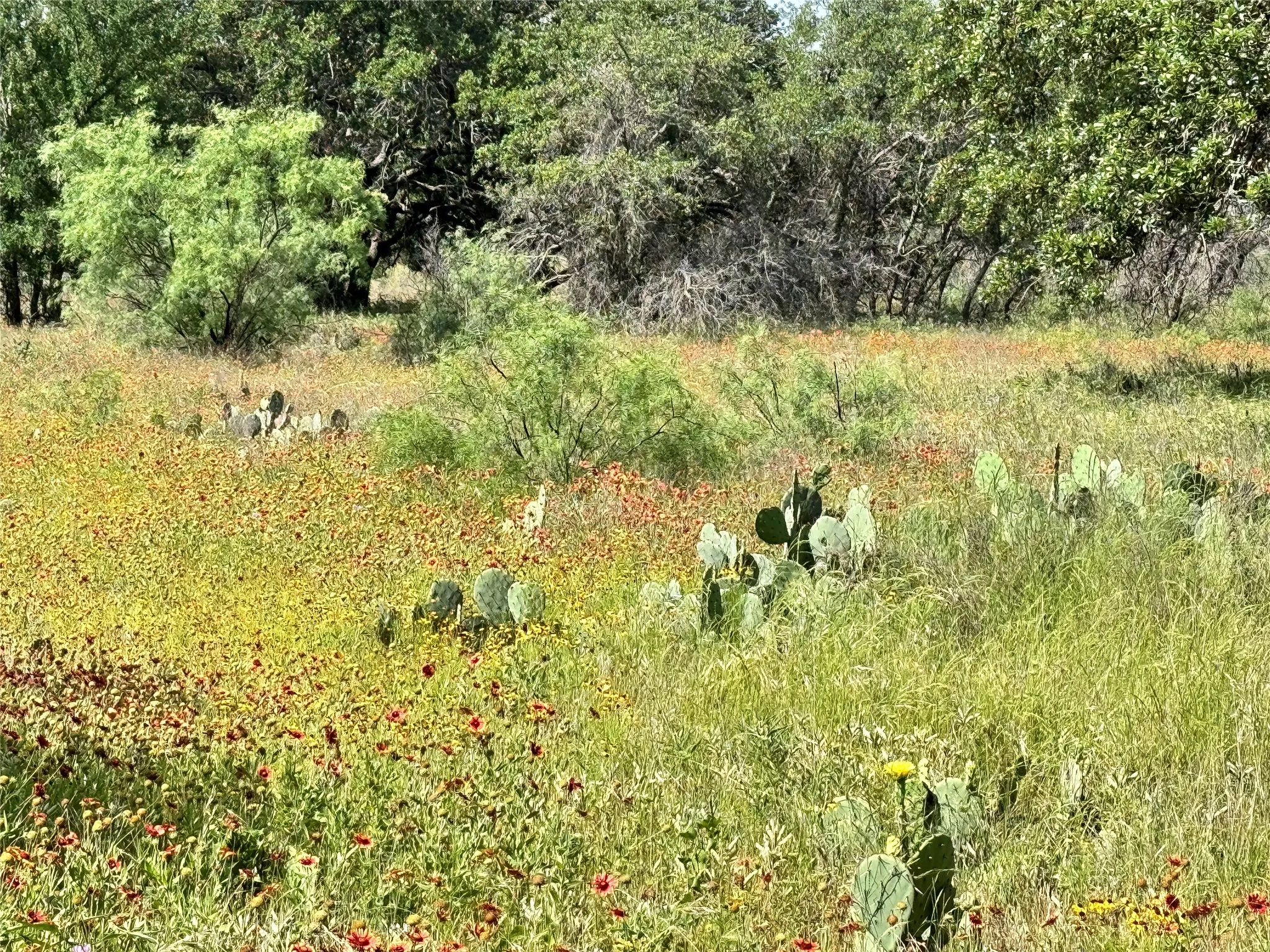 Unimproved Land For Sale in Brown County , TBD Lot 667 Lanyard Way, Brownwood, Texas 76801, 0, 0, Garage spaces, 0 Sqft, built in 0, Price $18,000, mls#21342816, Real Estate Agent in Brownwood, Homes For Sale in Brown county, Homes For Sale in Brownwood, Realtor in Brownwood Texas, Real Estate Brokerage Independent Realty Texas, Luminita Cordes Realtor