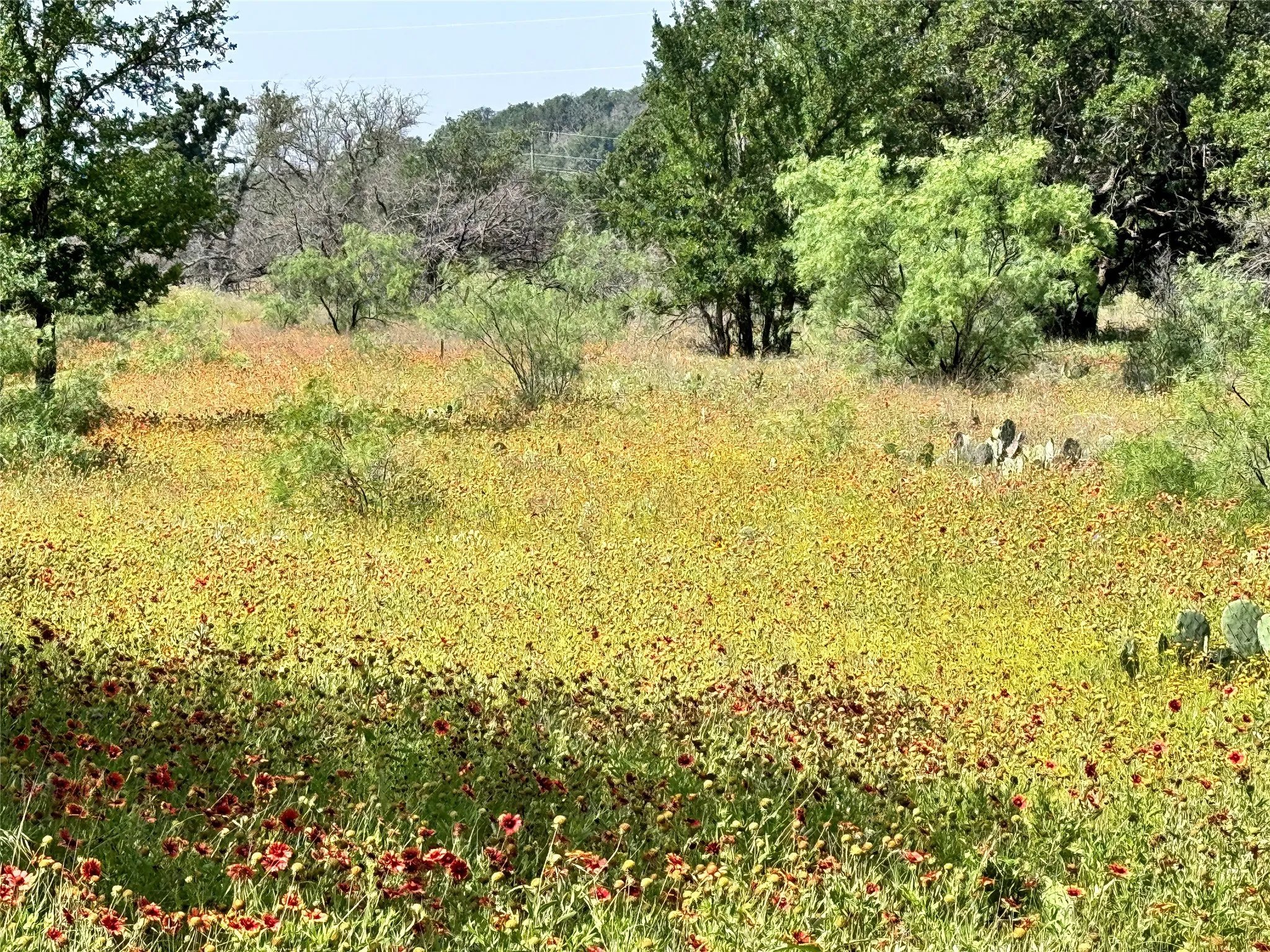 Unimproved Land For Sale in Brown County , TBD Lot 667 Lanyard Way, Brownwood, Texas 76801, 0, 0, Garage spaces, 0 Sqft, built in 0, Price $18,000, mls#21342816, Real Estate Agent in Brownwood, Homes For Sale in Brown county, Homes For Sale in Brownwood, Realtor in Brownwood Texas, Real Estate Brokerage Independent Realty Texas, Luminita Cordes Realtor