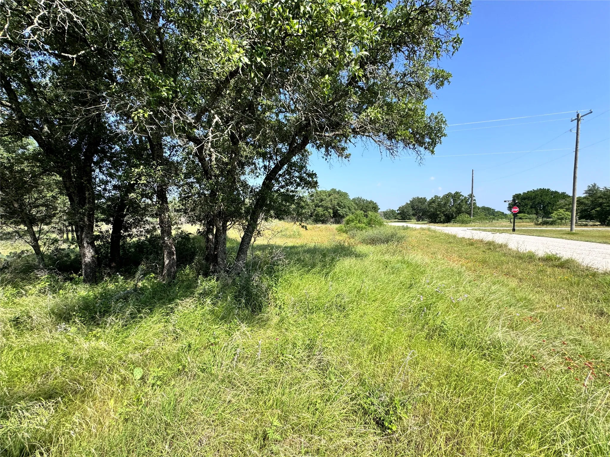 Unimproved Land For Sale in Brown County , TBD Lot 667 Lanyard Way, Brownwood, Texas 76801, 0, 0, Garage spaces, 0 Sqft, built in 0, Price $18,000, mls#21342816, Real Estate Agent in Brownwood, Homes For Sale in Brown county, Homes For Sale in Brownwood, Realtor in Brownwood Texas, Real Estate Brokerage Independent Realty Texas, Luminita Cordes Realtor