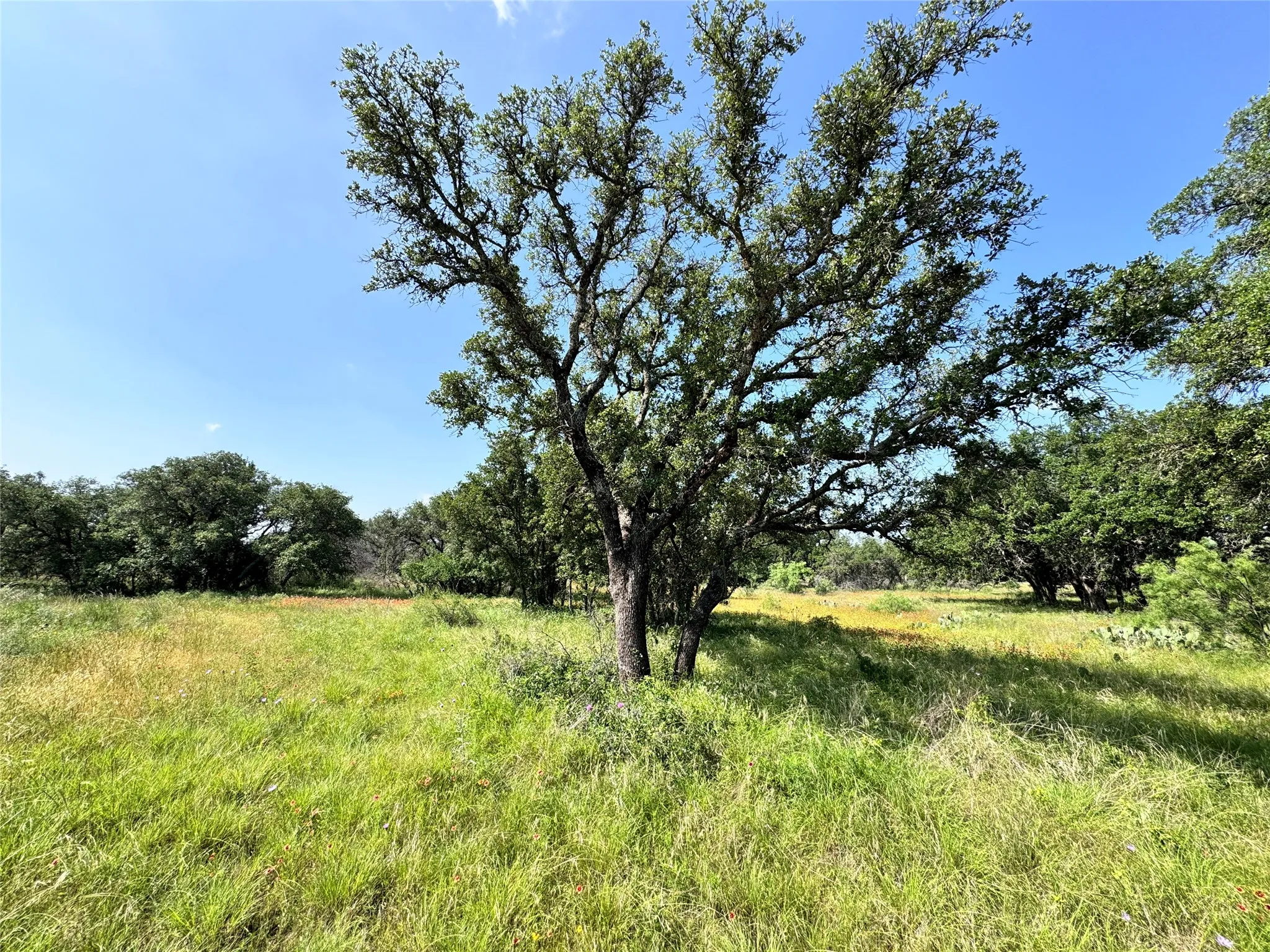 Unimproved Land For Sale in Brown County , TBD Lot 667 Lanyard Way, Brownwood, Texas 76801, 0, 0, Garage spaces, 0 Sqft, built in 0, Price $18,000, mls#21342816, Real Estate Agent in Brownwood, Homes For Sale in Brown county, Homes For Sale in Brownwood, Realtor in Brownwood Texas, Real Estate Brokerage Independent Realty Texas, Luminita Cordes Realtor