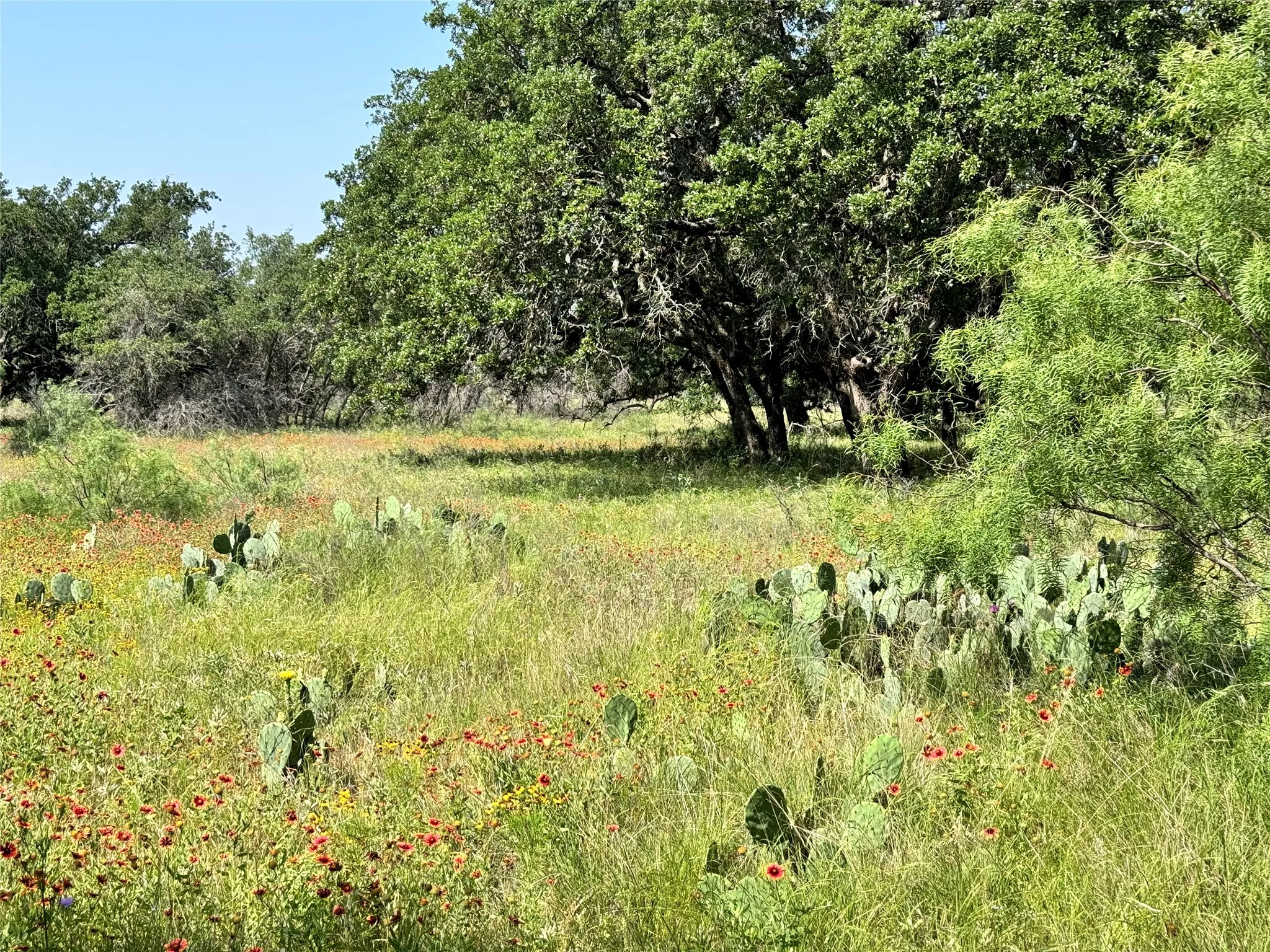 Unimproved Land For Sale in Brown County , TBD Lot 667 Lanyard Way, Brownwood, Texas 76801, 0, 0, Garage spaces, 0 Sqft, built in 0, Price $18,000, mls#21342816, Real Estate Agent in Brownwood, Homes For Sale in Brown county, Homes For Sale in Brownwood, Realtor in Brownwood Texas, Real Estate Brokerage Independent Realty Texas, Luminita Cordes Realtor