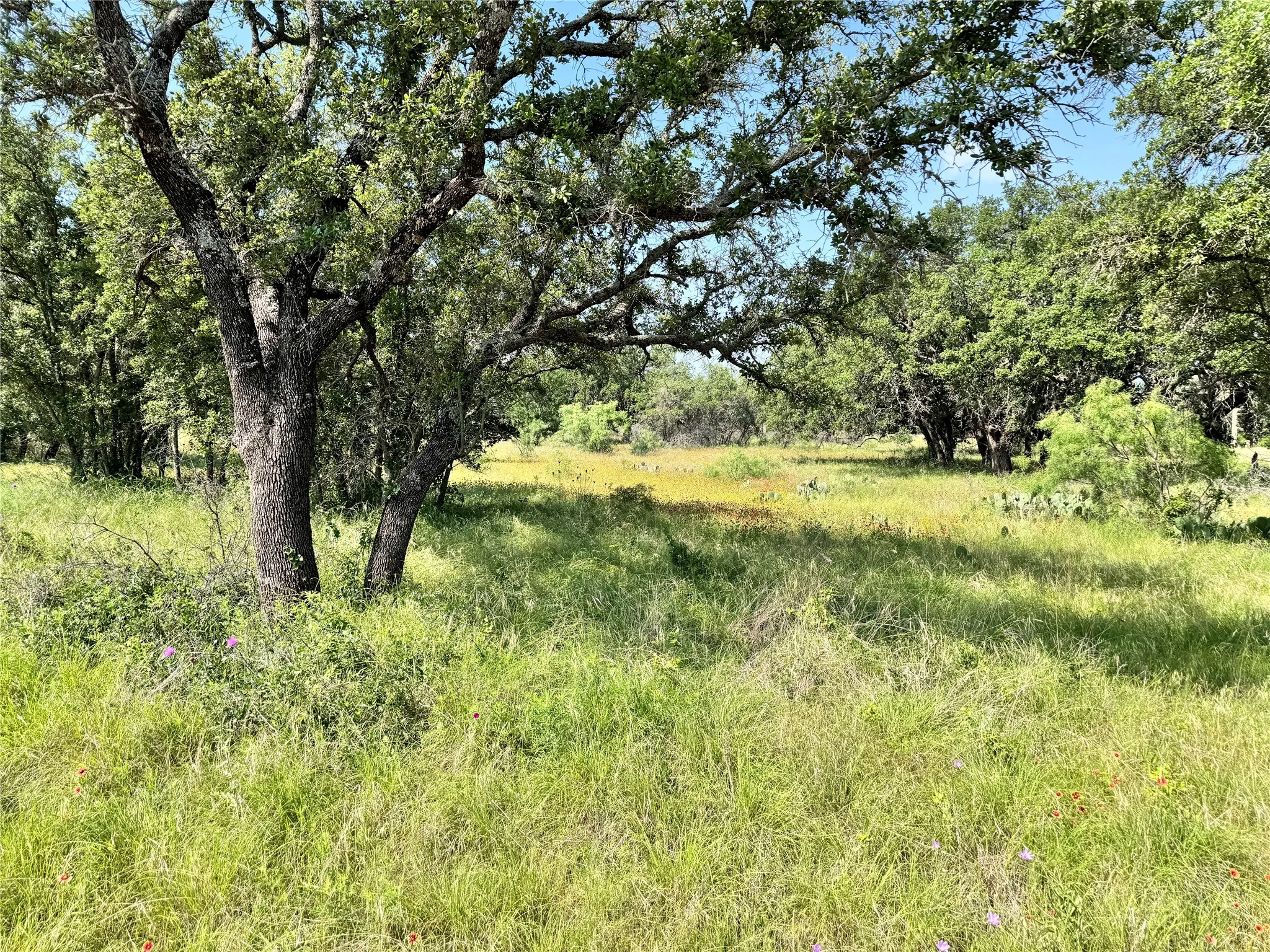 Unimproved Land For Sale in Brown County , TBD Lot 667 Lanyard Way, Brownwood, Texas 76801, 0, 0, Garage spaces, 0 Sqft, built in 0, Price $18,000, mls#21342816, Real Estate Agent in Brownwood, Homes For Sale in Brown county, Homes For Sale in Brownwood, Realtor in Brownwood Texas, Real Estate Brokerage Independent Realty Texas, Luminita Cordes Realtor