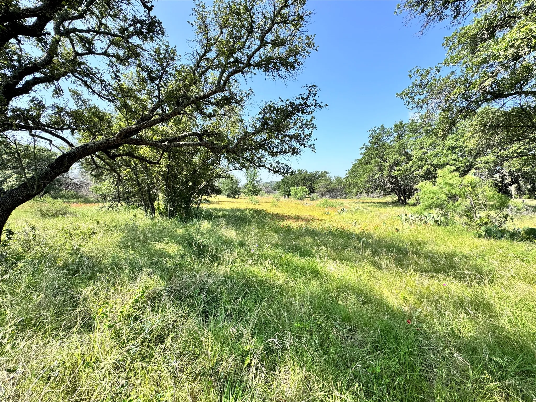 Unimproved Land For Sale in Brown County , TBD Lot 667 Lanyard Way, Brownwood, Texas 76801, 0, 0, Garage spaces, 0 Sqft, built in 0, Price $18,000, mls#21342816, Real Estate Agent in Brownwood, Homes For Sale in Brown county, Homes For Sale in Brownwood, Realtor in Brownwood Texas, Real Estate Brokerage Independent Realty Texas, Luminita Cordes Realtor