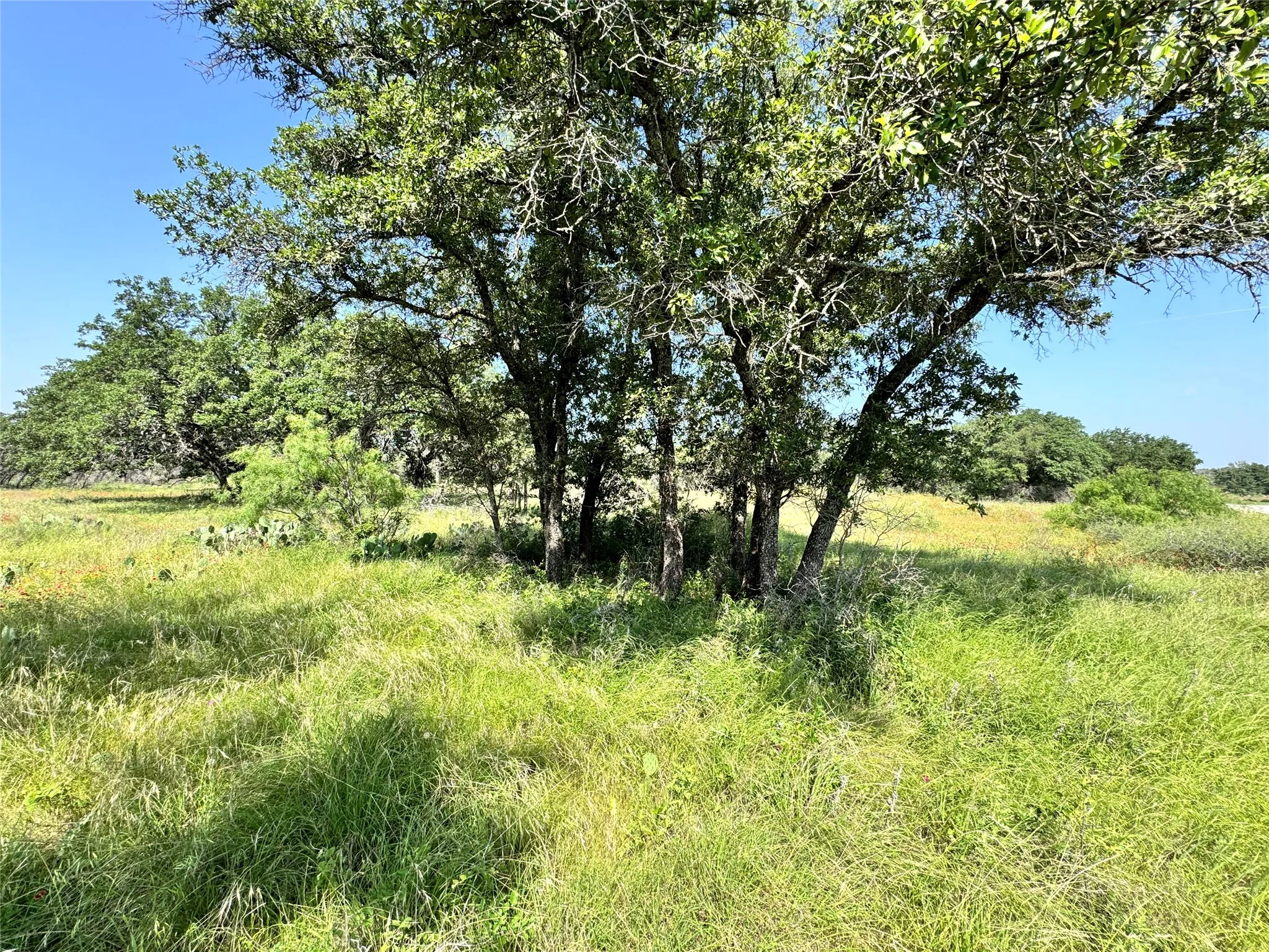 Unimproved Land For Sale in Brown County , TBD Lot 667 Lanyard Way, Brownwood, Texas 76801, 0, 0, Garage spaces, 0 Sqft, built in 0, Price $18,000, mls#21342816, Real Estate Agent in Brownwood, Homes For Sale in Brown county, Homes For Sale in Brownwood, Realtor in Brownwood Texas, Real Estate Brokerage Independent Realty Texas, Luminita Cordes Realtor