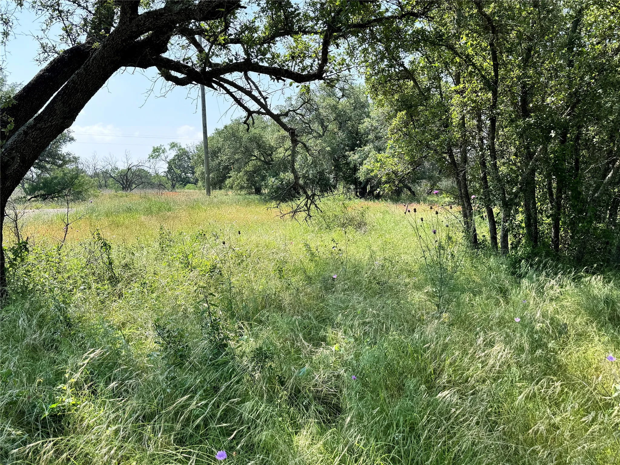 Unimproved Land For Sale in Brown County , TBD Lot 667 Lanyard Way, Brownwood, Texas 76801, 0, 0, Garage spaces, 0 Sqft, built in 0, Price $18,000, mls#21342816, Real Estate Agent in Brownwood, Homes For Sale in Brown county, Homes For Sale in Brownwood, Realtor in Brownwood Texas, Real Estate Brokerage Independent Realty Texas, Luminita Cordes Realtor
