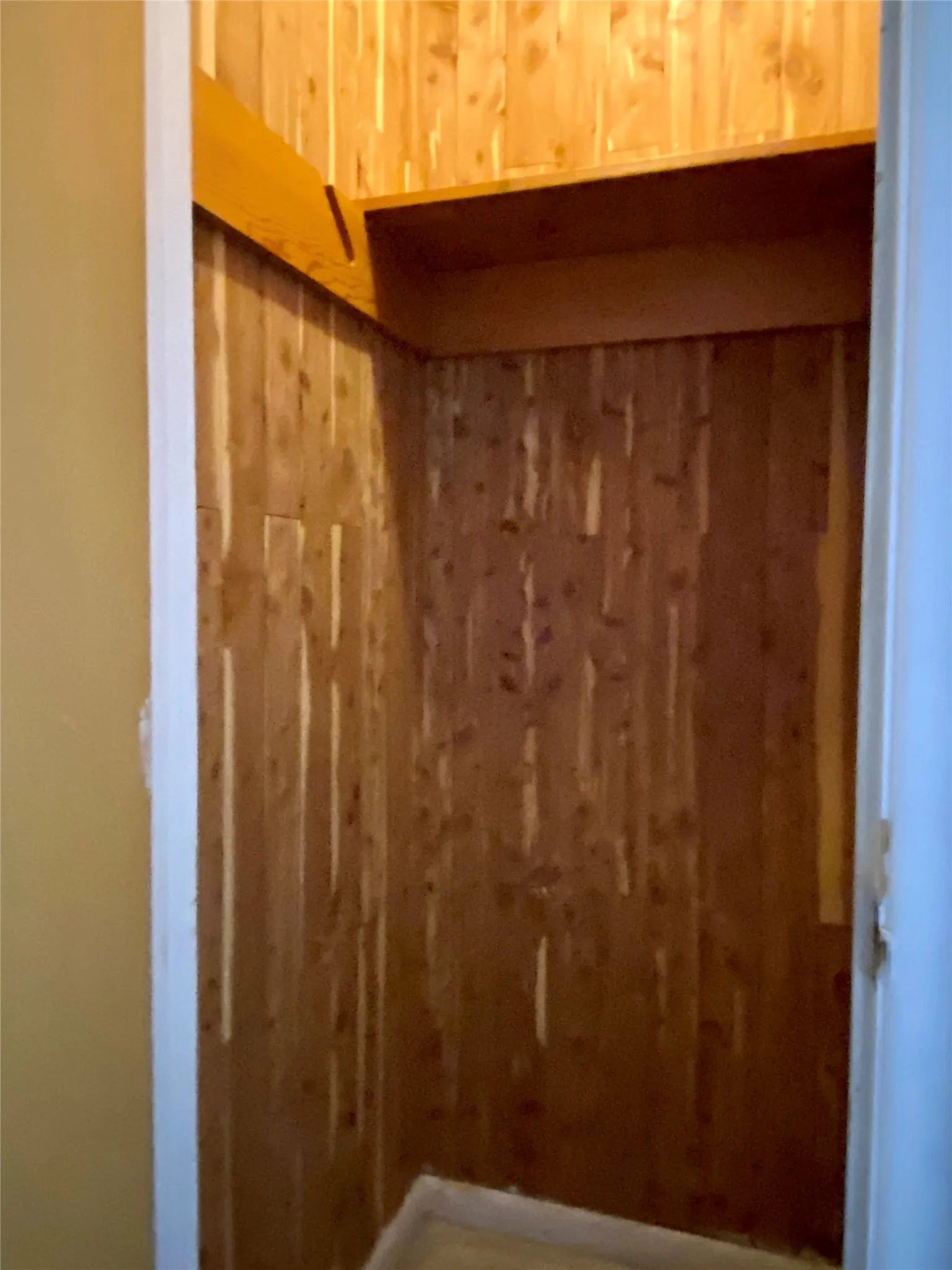 Cedar Closet