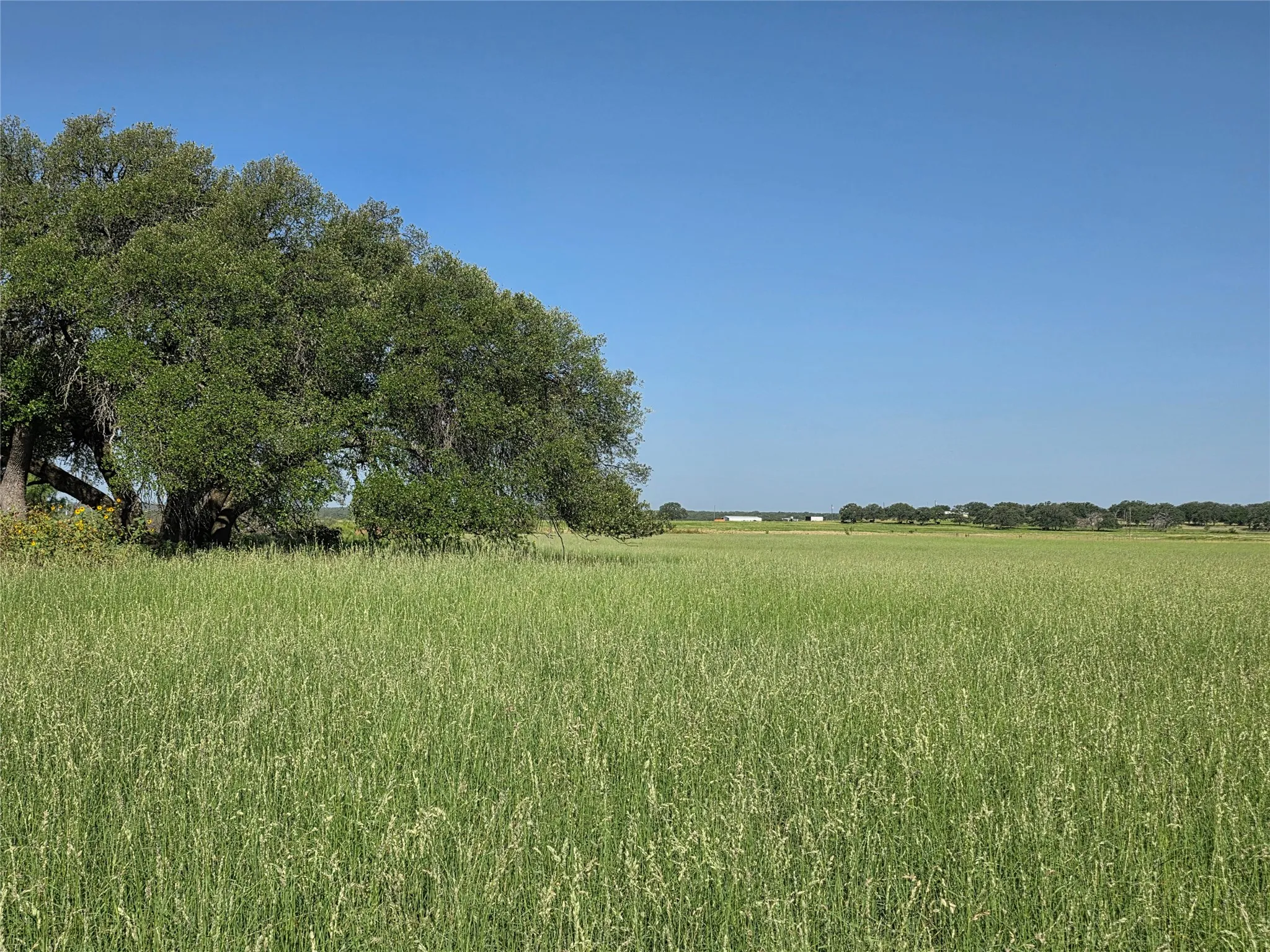 Single Family Residence For Sale in Brown County , 2195 Fm-585, Bangs, Texas 76823, 3 Bedroom, 4 Bathroom, 3 Garage spaces, 2,979 Sqft, built in 1999, Price $749,850, mls#21342829, Real Estate Agent in Bangs, Homes For Sale in Brown county, Homes For Sale in Bangs, Realtor in Bangs Texas, Real Estate Brokerage Independent Realty Texas, Luminita Cordes Realtor
