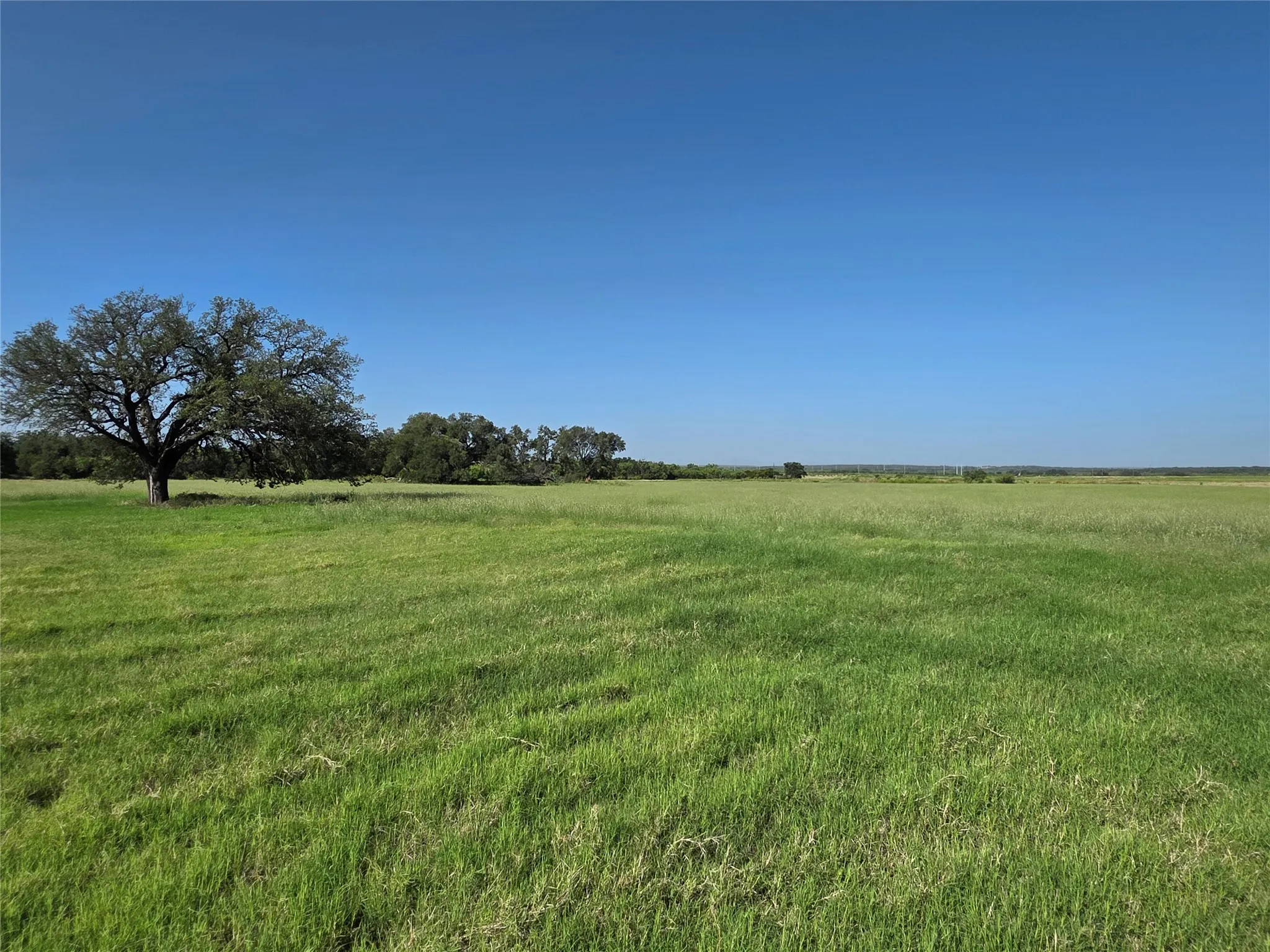 Single Family Residence For Sale in Brown County , 2195 Fm-585, Bangs, Texas 76823, 3 Bedroom, 4 Bathroom, 3 Garage spaces, 2,979 Sqft, built in 1999, Price $749,850, mls#21342829, Real Estate Agent in Bangs, Homes For Sale in Brown county, Homes For Sale in Bangs, Realtor in Bangs Texas, Real Estate Brokerage Independent Realty Texas, Luminita Cordes Realtor