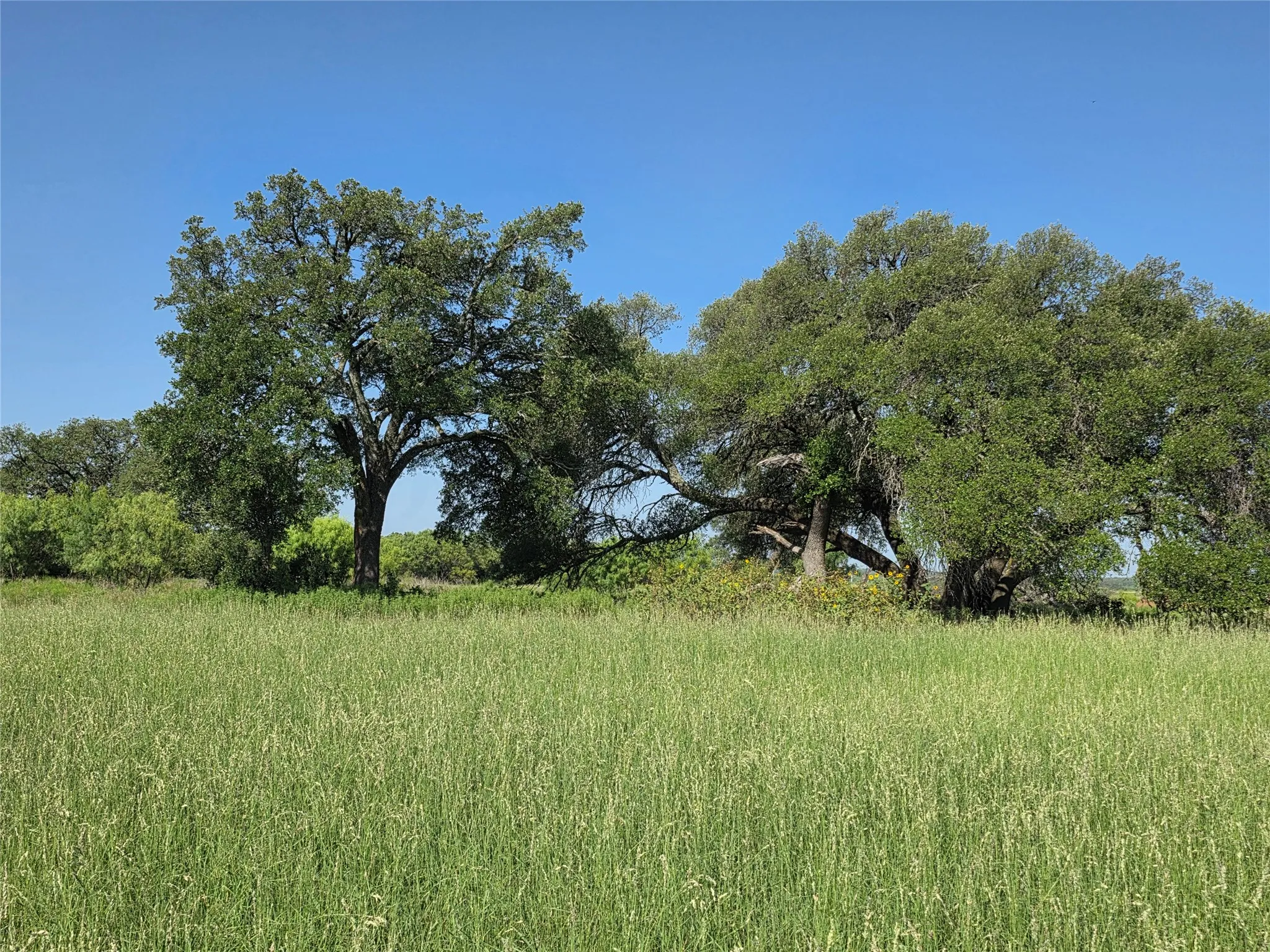 Single Family Residence For Sale in Brown County , 2195 Fm-585, Bangs, Texas 76823, 3 Bedroom, 4 Bathroom, 3 Garage spaces, 2,979 Sqft, built in 1999, Price $749,850, mls#21342829, Real Estate Agent in Bangs, Homes For Sale in Brown county, Homes For Sale in Bangs, Realtor in Bangs Texas, Real Estate Brokerage Independent Realty Texas, Luminita Cordes Realtor
