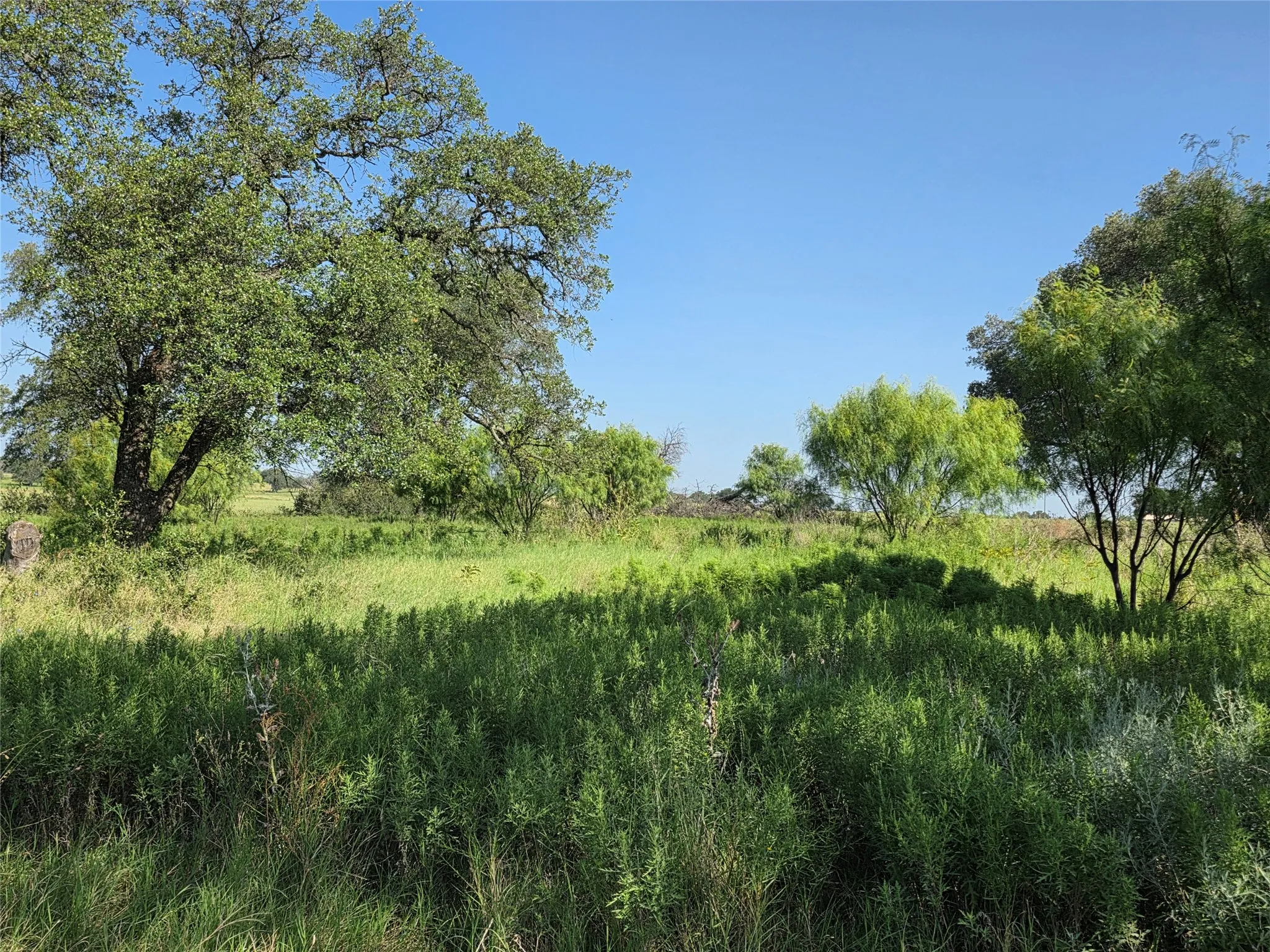 Single Family Residence For Sale in Brown County , 2195 Fm-585, Bangs, Texas 76823, 3 Bedroom, 4 Bathroom, 3 Garage spaces, 2,979 Sqft, built in 1999, Price $749,850, mls#21342829, Real Estate Agent in Bangs, Homes For Sale in Brown county, Homes For Sale in Bangs, Realtor in Bangs Texas, Real Estate Brokerage Independent Realty Texas, Luminita Cordes Realtor