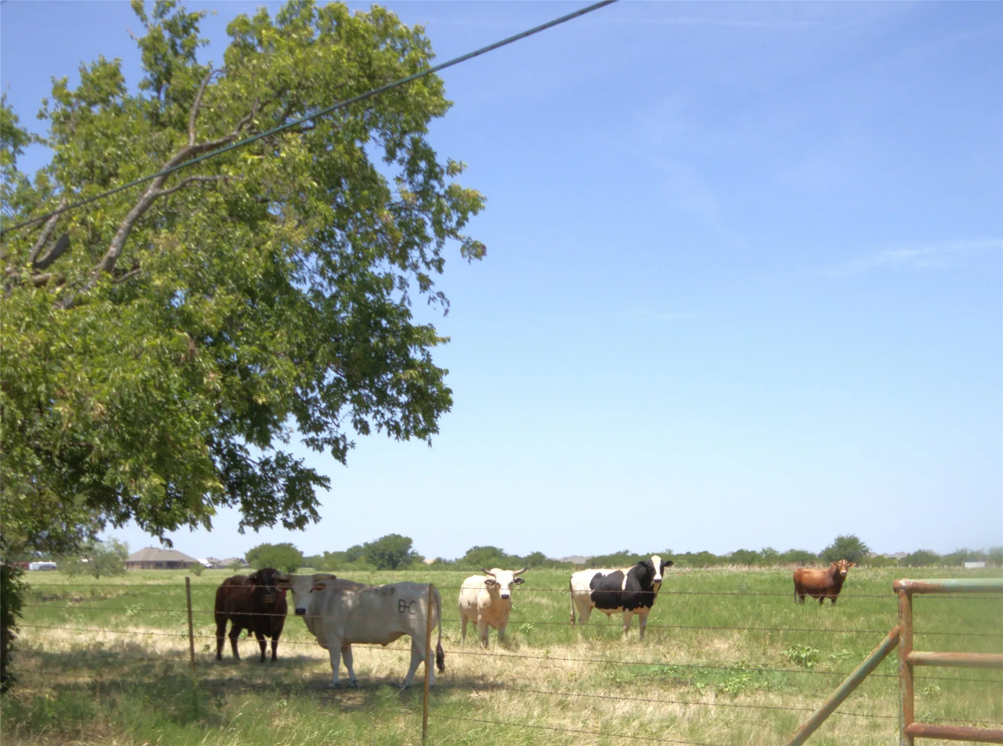 Close to Open Pastures & Country Feel