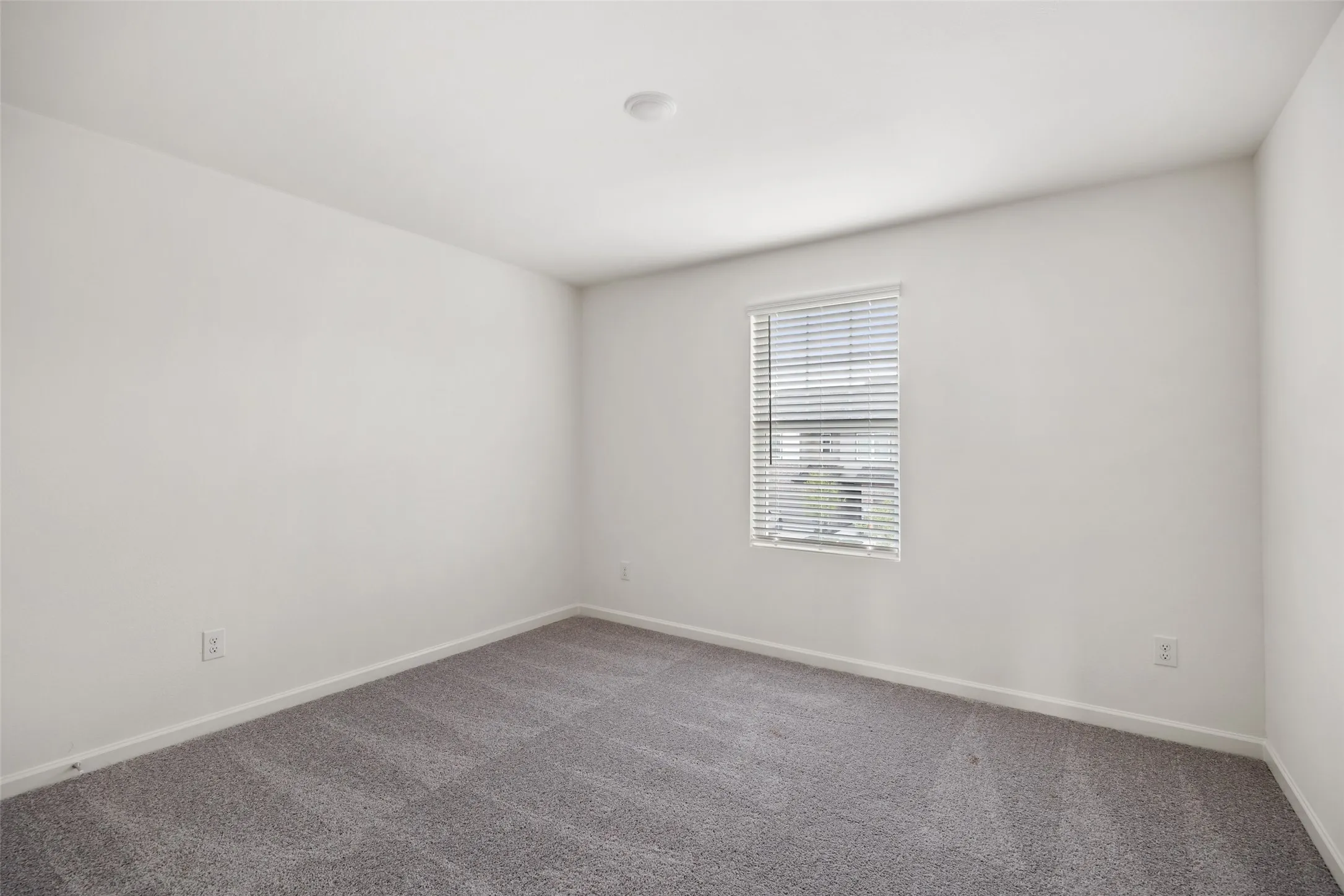 Neutral wall paint with gray carpeting
