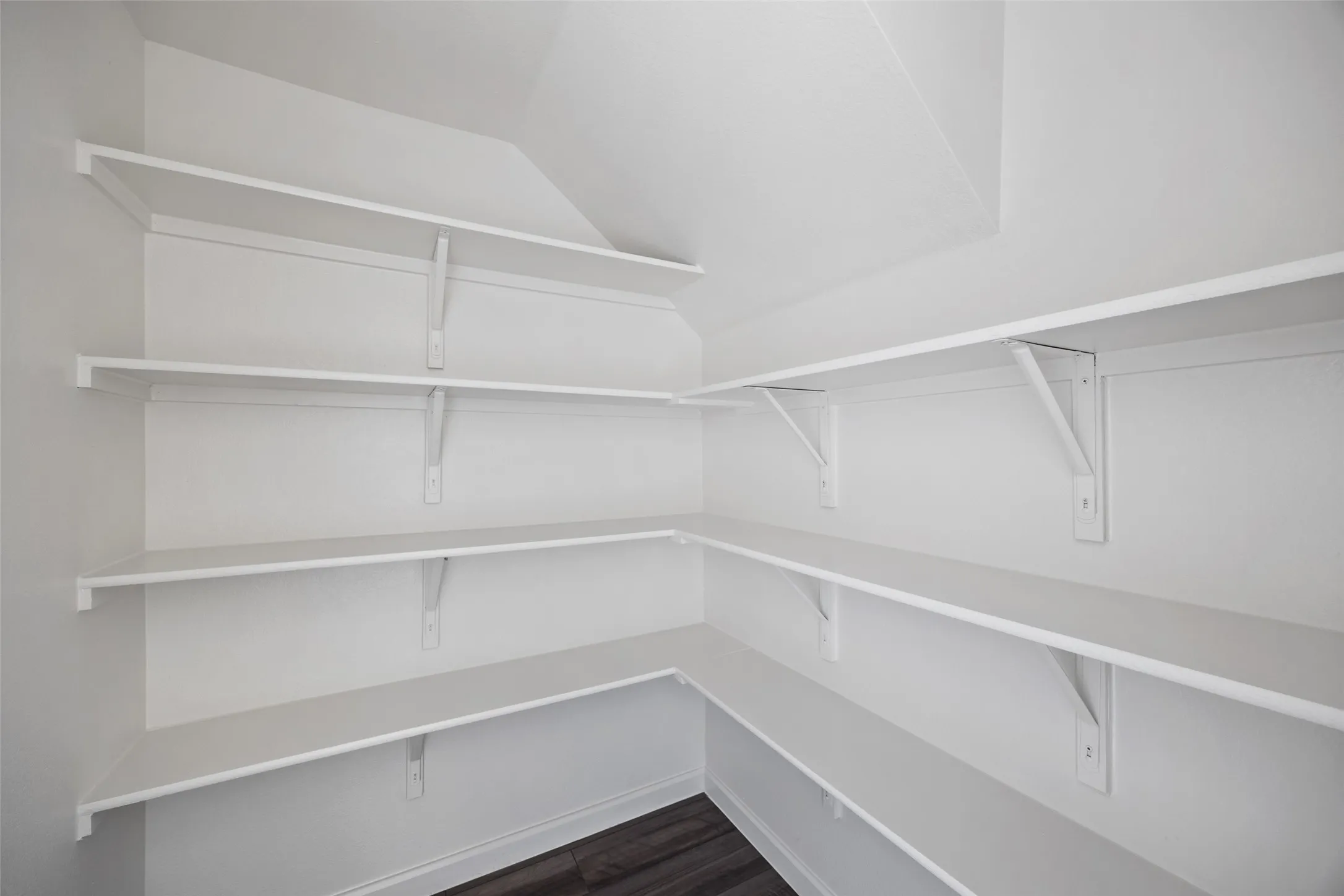 Walk-in pantry with extensive built-in shelving, white painted walls, and wood-finish flooring