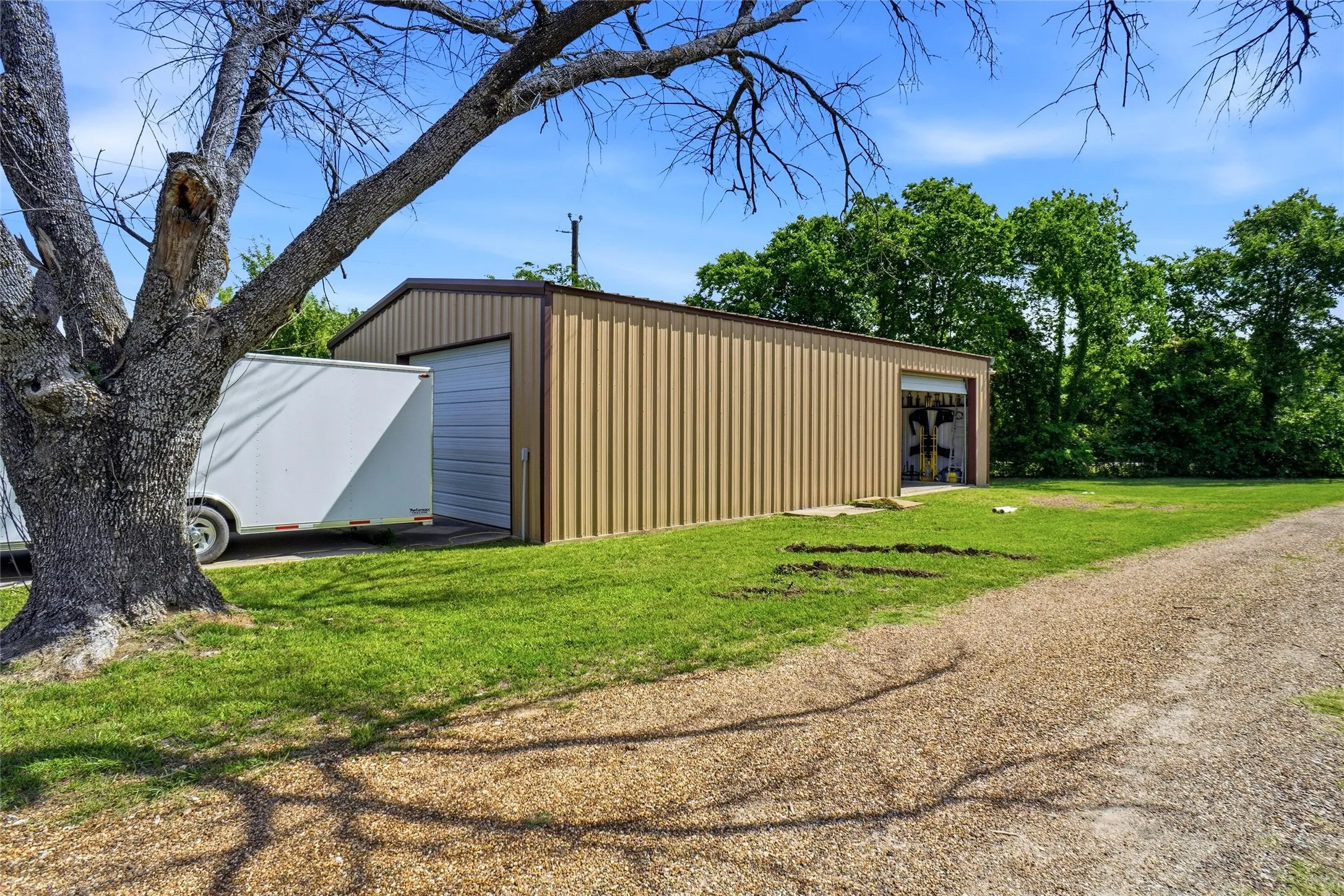 Shop could be transformed into a dog breeding area