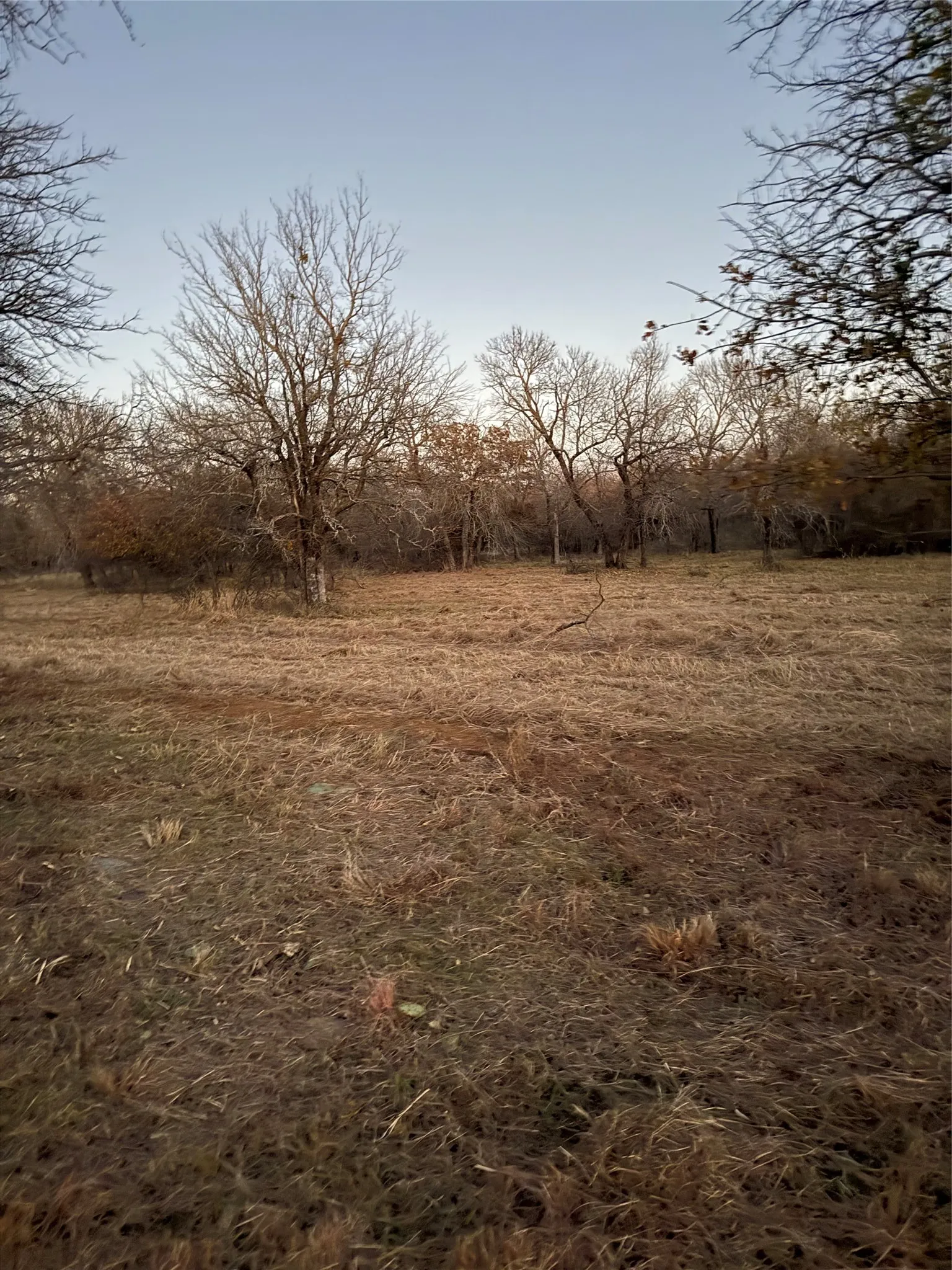 Unimproved Land For Sale in Wise County , TBD Ridgeline Drive 203, Chico, Texas 76431, 0, 0, Garage spaces, 0 Sqft, built in 0, Price $70,000, mls#21342828, Real Estate Agent in Chico, Homes For Sale in Wise county, Homes For Sale in Chico, Realtor in Chico Texas, Real Estate Brokerage Independent Realty Texas, Luminita Cordes Realtor