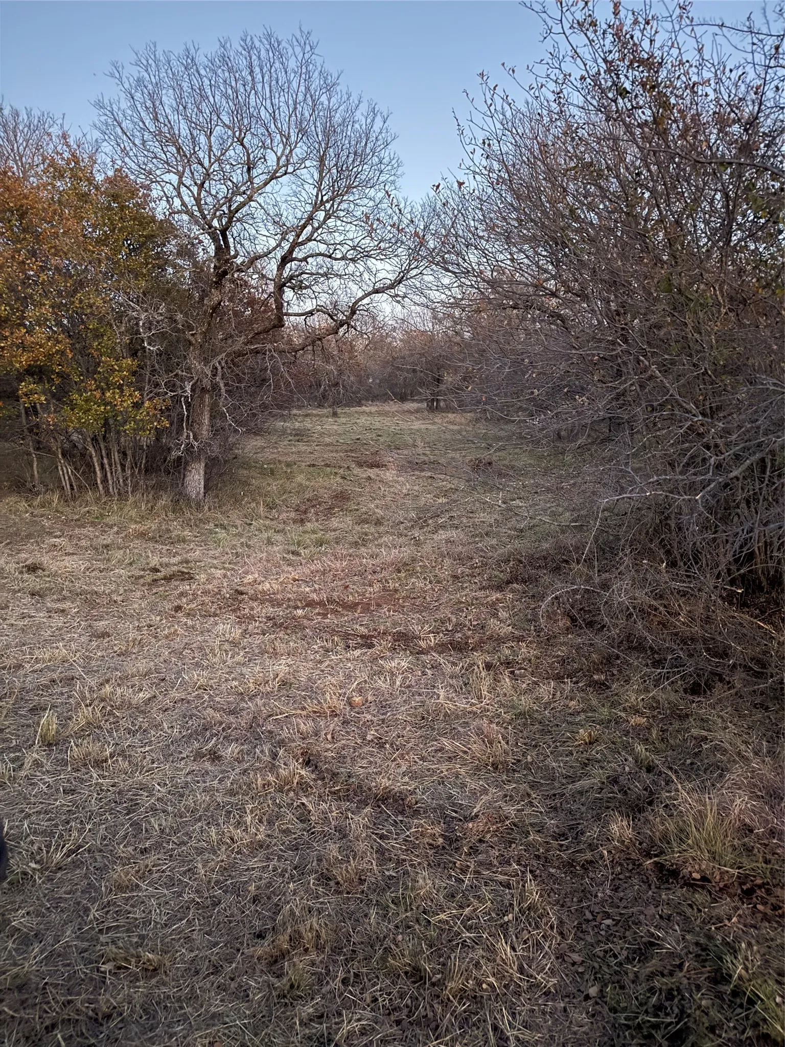 Unimproved Land For Sale in Wise County , TBD Ridgeline Drive 203, Chico, Texas 76431, 0, 0, Garage spaces, 0 Sqft, built in 0, Price $70,000, mls#21342828, Real Estate Agent in Chico, Homes For Sale in Wise county, Homes For Sale in Chico, Realtor in Chico Texas, Real Estate Brokerage Independent Realty Texas, Luminita Cordes Realtor