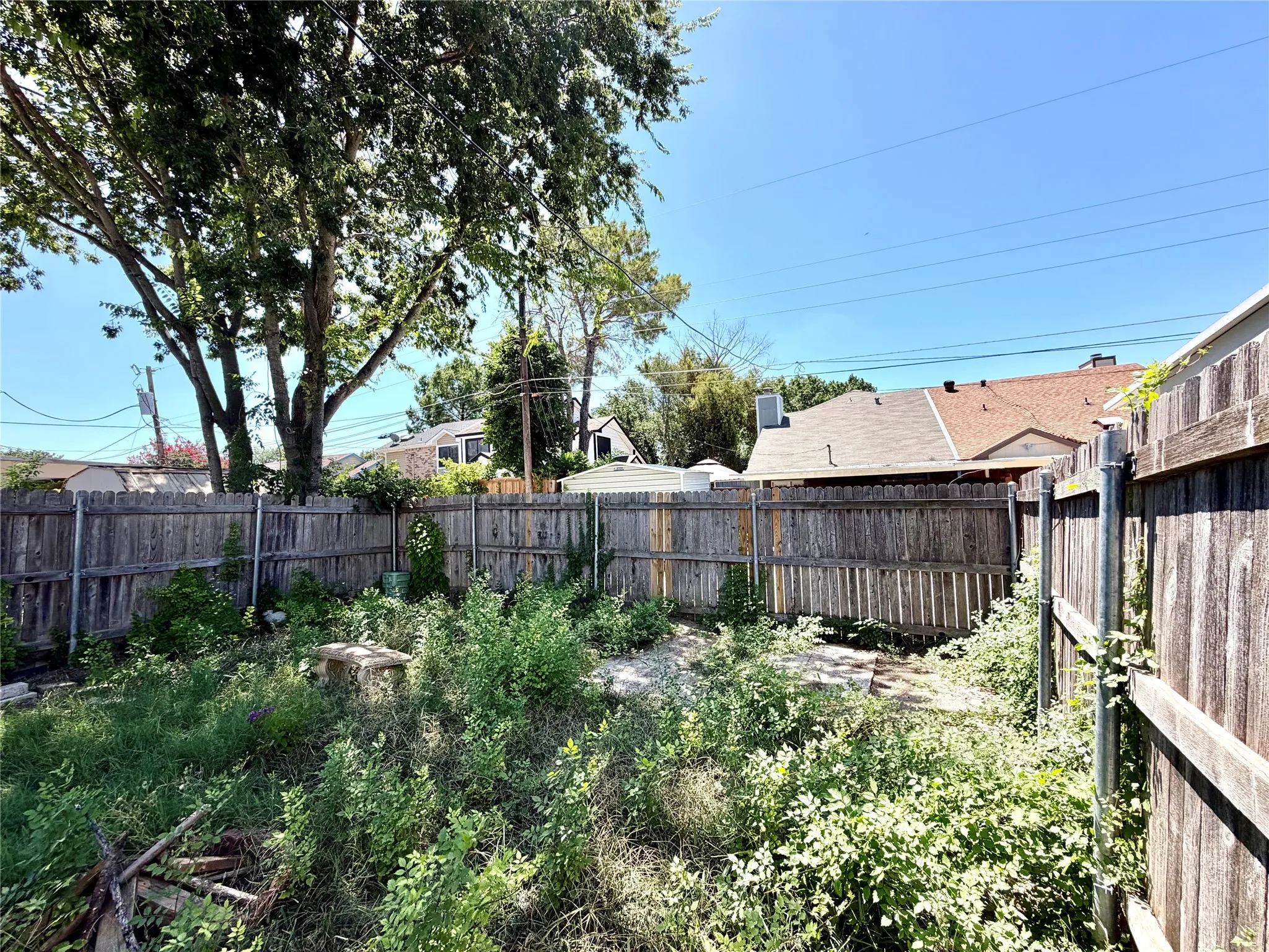 Fenced backyard featuring mature perimeter trees and natural landscaping