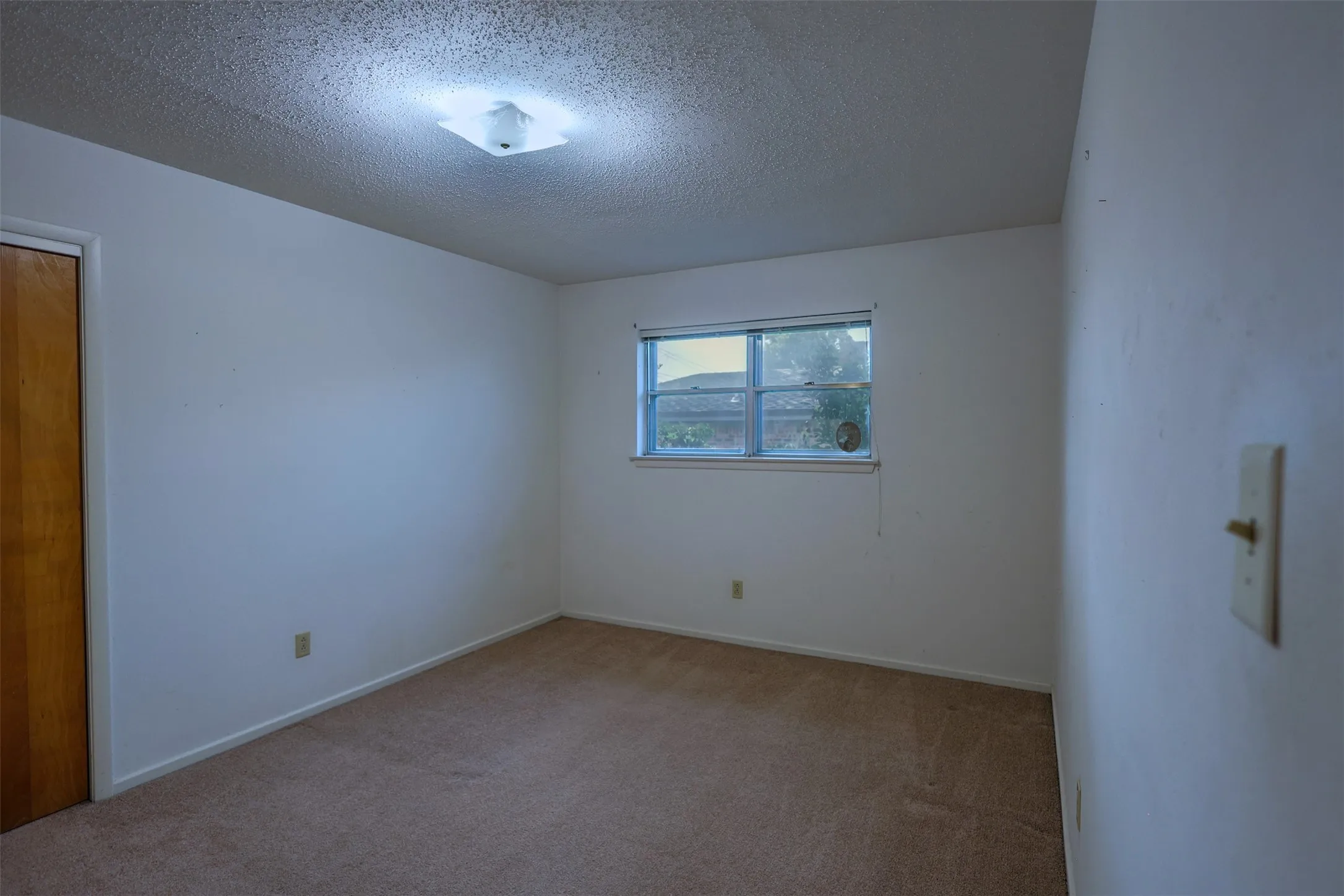 Carpeted room with a double-pane window, flush-mount ceiling light, and a wood-finish closet door