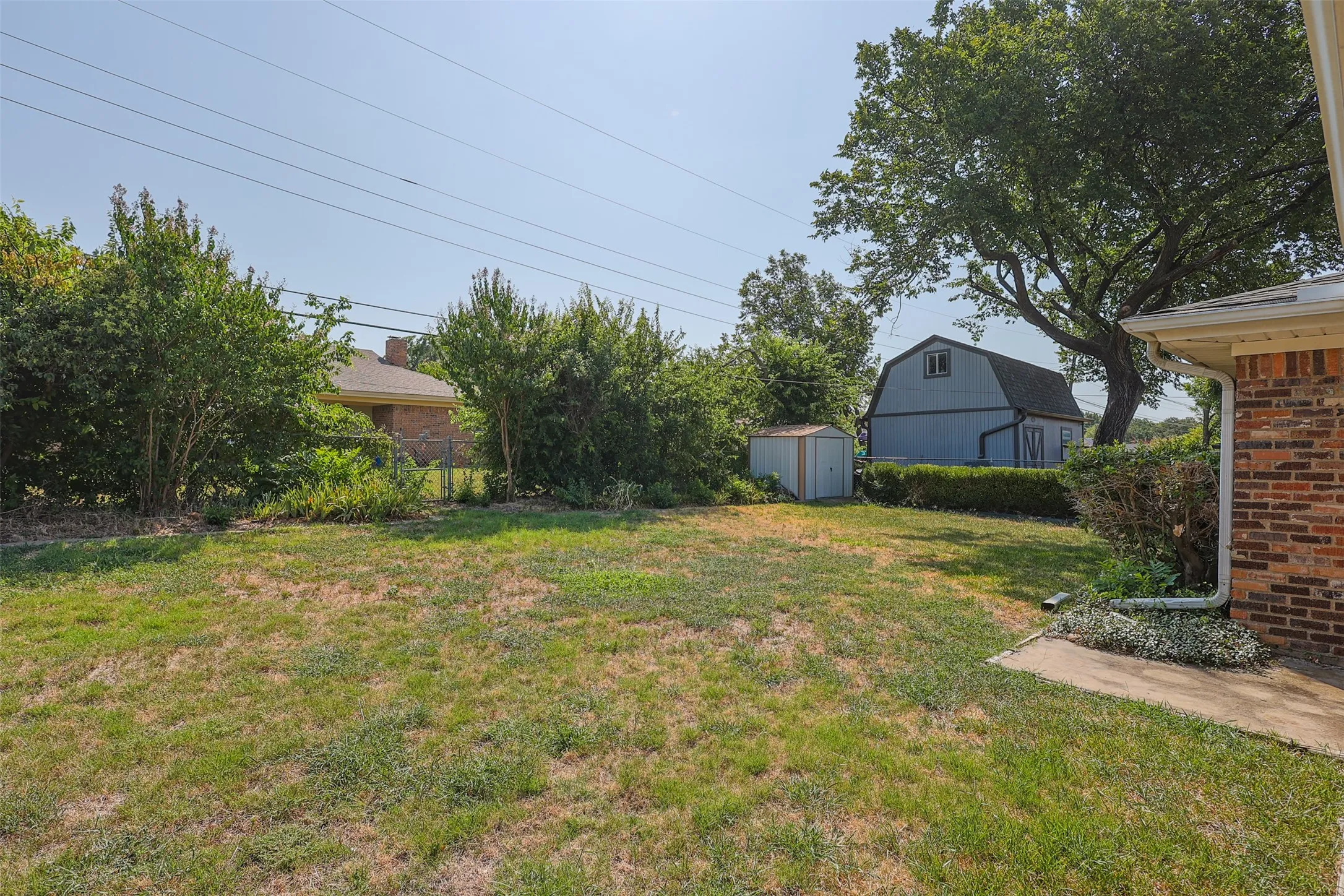 Expansive backyard featuring a grass lawn, mature trees, and a storage shed