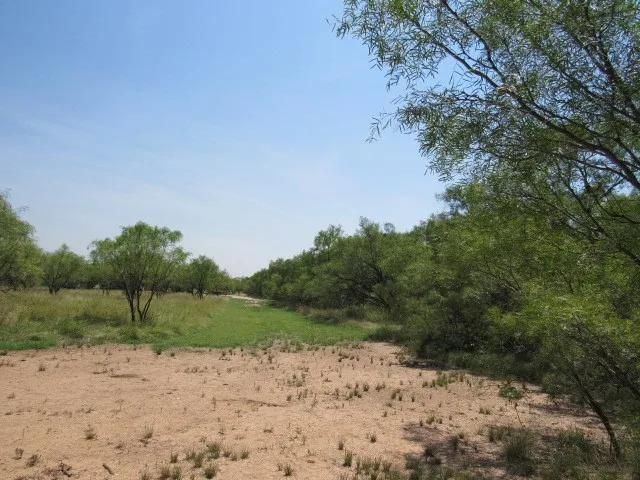 Unimproved Land For Sale in Brown County , TBD County Road 211, Brookesmith, Texas 76827, 0, 0, Garage spaces, 0 Sqft, built in 0, mls#21343087, Real Estate Agent in Brookesmith, Homes For Sale in Brown county, Homes For Sale in Brookesmith, Realtor in Brookesmith Texas, Real Estate Brokerage Independent Realty Texas, Luminita Cordes Realtor