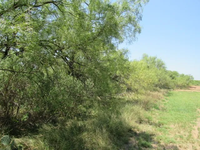 Unimproved Land For Sale in Brown County , TBD County Road 211, Brookesmith, Texas 76827, 0, 0, Garage spaces, 0 Sqft, built in 0, mls#21343087, Real Estate Agent in Brookesmith, Homes For Sale in Brown county, Homes For Sale in Brookesmith, Realtor in Brookesmith Texas, Real Estate Brokerage Independent Realty Texas, Luminita Cordes Realtor