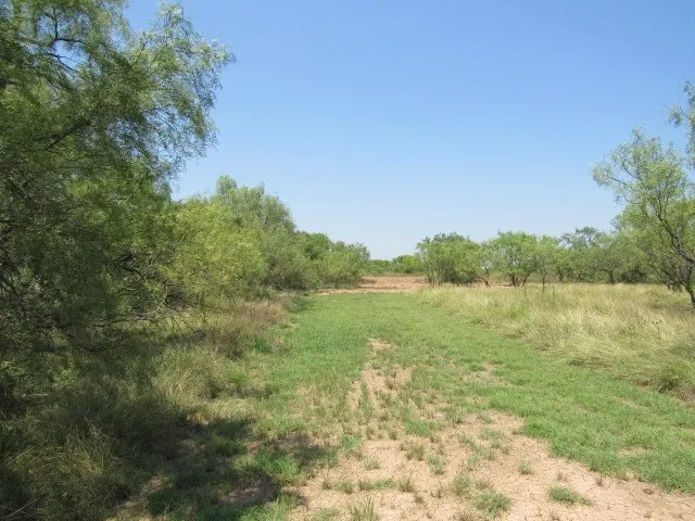 Unimproved Land For Sale in Brown County , TBD County Road 211, Brookesmith, Texas 76827, 0, 0, Garage spaces, 0 Sqft, built in 0, mls#21343087, Real Estate Agent in Brookesmith, Homes For Sale in Brown county, Homes For Sale in Brookesmith, Realtor in Brookesmith Texas, Real Estate Brokerage Independent Realty Texas, Luminita Cordes Realtor