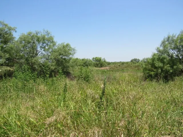 Unimproved Land For Sale in Brown County , TBD County Road 211, Brookesmith, Texas 76827, 0, 0, Garage spaces, 0 Sqft, built in 0, mls#21343087, Real Estate Agent in Brookesmith, Homes For Sale in Brown county, Homes For Sale in Brookesmith, Realtor in Brookesmith Texas, Real Estate Brokerage Independent Realty Texas, Luminita Cordes Realtor