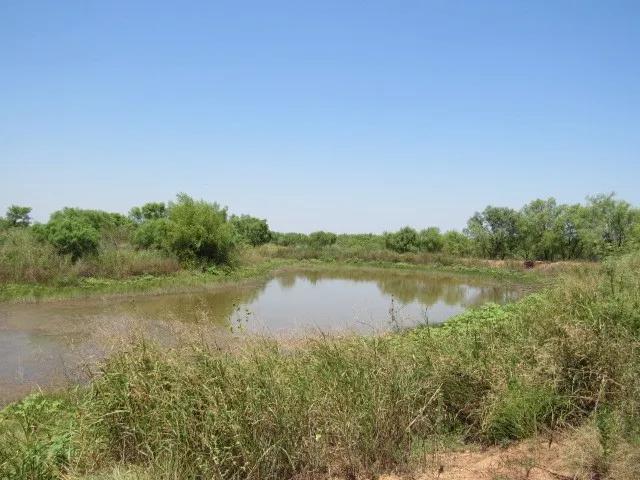 Unimproved Land For Sale in Brown County , TBD County Road 211, Brookesmith, Texas 76827, 0, 0, Garage spaces, 0 Sqft, built in 0, mls#21343087, Real Estate Agent in Brookesmith, Homes For Sale in Brown county, Homes For Sale in Brookesmith, Realtor in Brookesmith Texas, Real Estate Brokerage Independent Realty Texas, Luminita Cordes Realtor