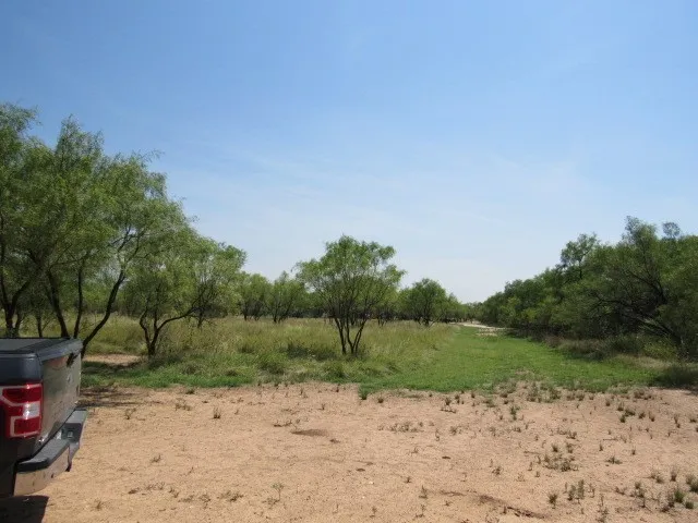 Unimproved Land For Sale in Brown County , TBD County Road 211, Brookesmith, Texas 76827, 0, 0, Garage spaces, 0 Sqft, built in 0, mls#21343087, Real Estate Agent in Brookesmith, Homes For Sale in Brown county, Homes For Sale in Brookesmith, Realtor in Brookesmith Texas, Real Estate Brokerage Independent Realty Texas, Luminita Cordes Realtor