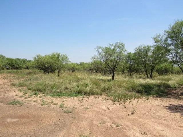 Unimproved Land For Sale in Brown County , TBD County Road 211, Brookesmith, Texas 76827, 0, 0, Garage spaces, 0 Sqft, built in 0, mls#21343087, Real Estate Agent in Brookesmith, Homes For Sale in Brown county, Homes For Sale in Brookesmith, Realtor in Brookesmith Texas, Real Estate Brokerage Independent Realty Texas, Luminita Cordes Realtor