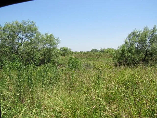 Unimproved Land For Sale in Brown County , TBD County Road 211, Brookesmith, Texas 76827, 0, 0, Garage spaces, 0 Sqft, built in 0, mls#21343087, Real Estate Agent in Brookesmith, Homes For Sale in Brown county, Homes For Sale in Brookesmith, Realtor in Brookesmith Texas, Real Estate Brokerage Independent Realty Texas, Luminita Cordes Realtor
