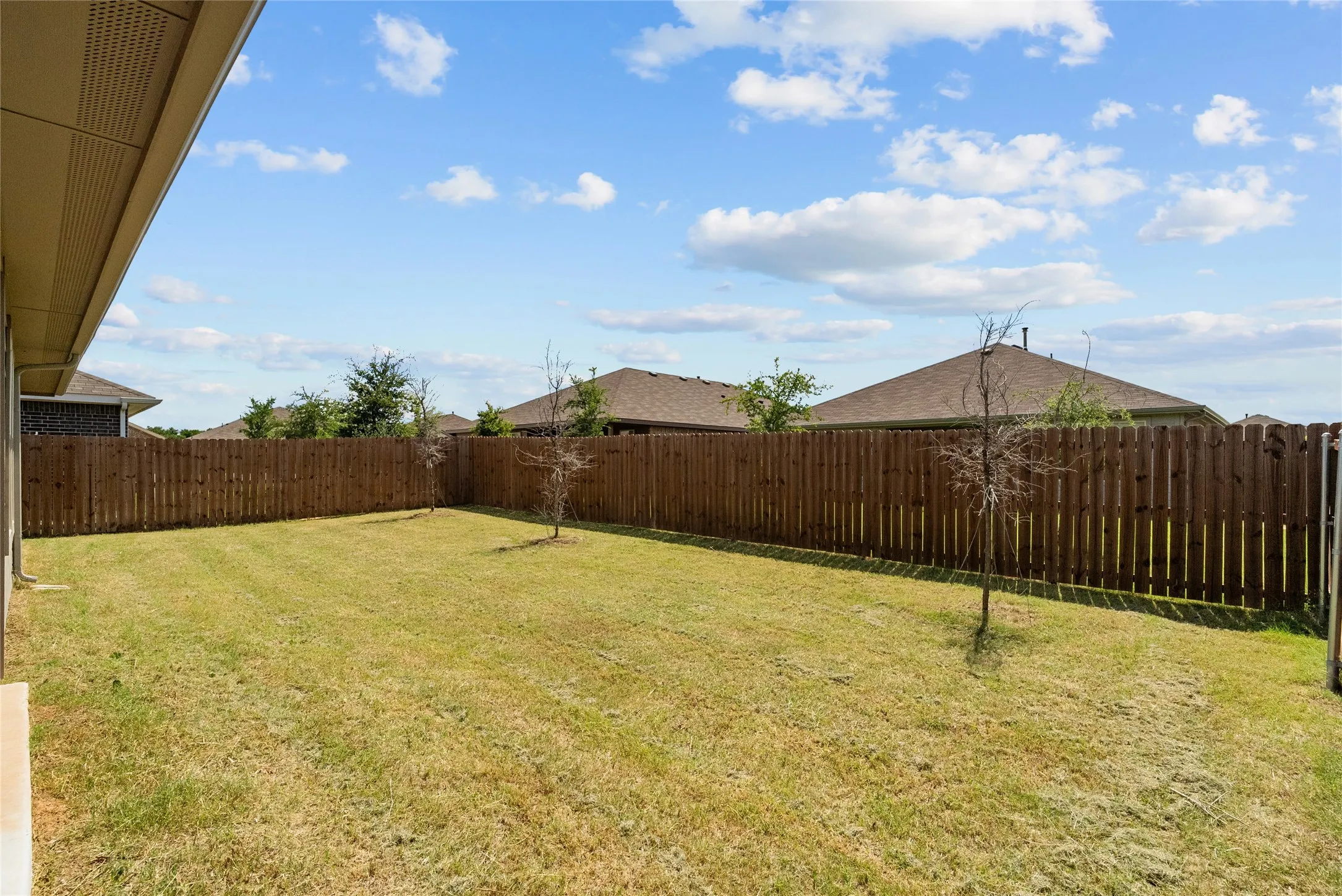 Expansive green space featuring a wood privacy fence, two young trees, and a clear sky above