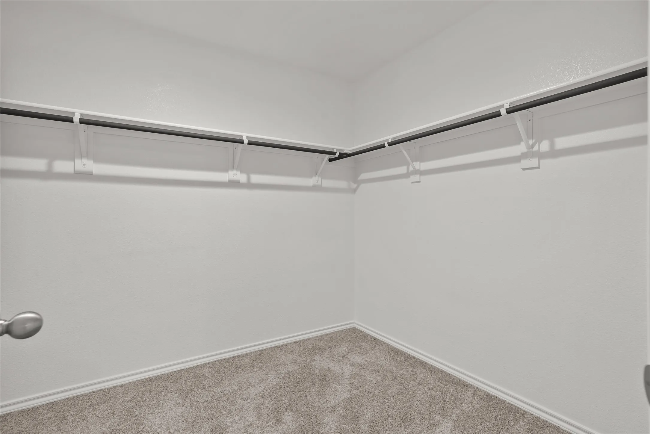 Walk-in closet featuring light grey carpeting, white walls, and a built-in white shelving system with a black hanging rod
