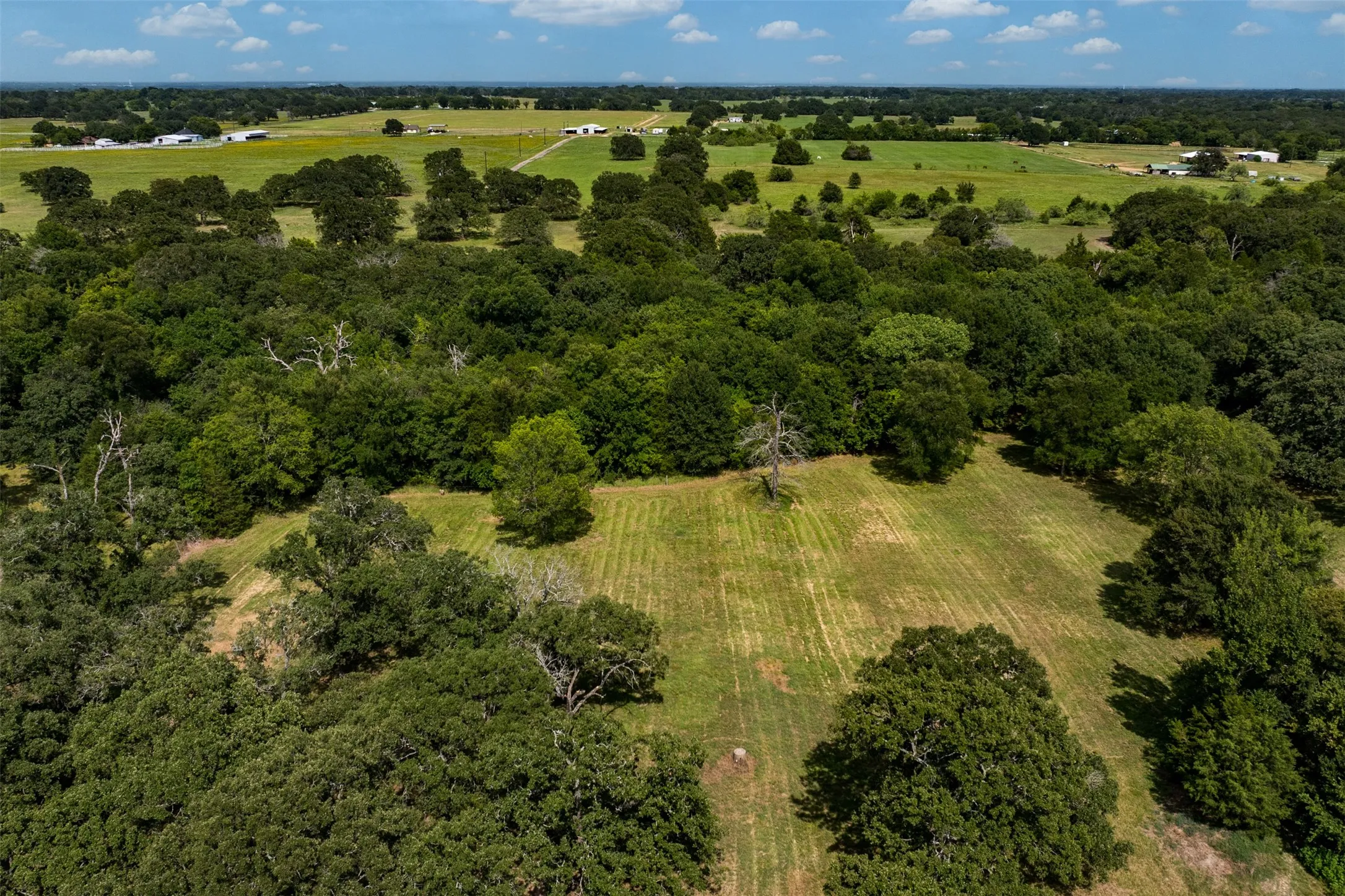 Expansive acreage featuring substantial tree coverage and cultivated fields