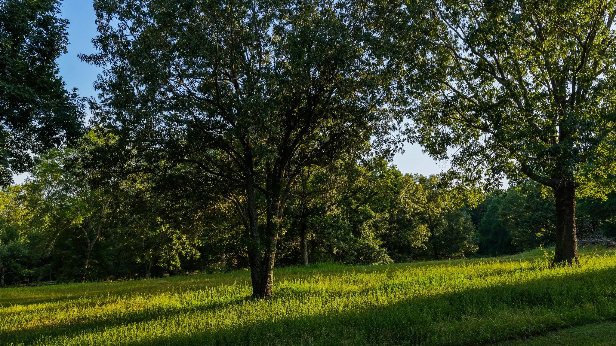 Farm For Sale in Shelby County , 179 County Road 2790, Shelbyville, Texas 75973, 5 Bedroom, 4 Bathroom, 4 Garage spaces, 2,076 Sqft, built in 1998, mls#21343121, Real Estate Agent in Shelbyville, Homes For Sale in Shelby county, Homes For Sale in Shelbyville, Realtor in Shelbyville Texas, Real Estate Brokerage Independent Realty Texas, Luminita Cordes Realtor