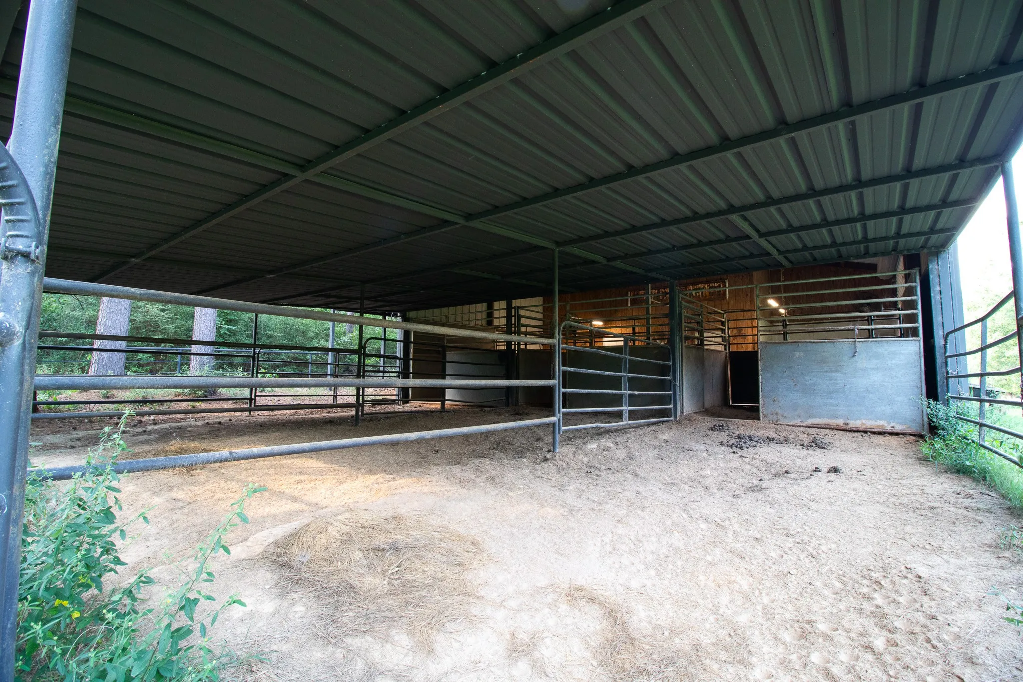 Farm For Sale in Shelby County , 179 County Road 2790, Shelbyville, Texas 75973, 5 Bedroom, 4 Bathroom, 4 Garage spaces, 2,076 Sqft, built in 1998, mls#21343121, Real Estate Agent in Shelbyville, Homes For Sale in Shelby county, Homes For Sale in Shelbyville, Realtor in Shelbyville Texas, Real Estate Brokerage Independent Realty Texas, Luminita Cordes Realtor