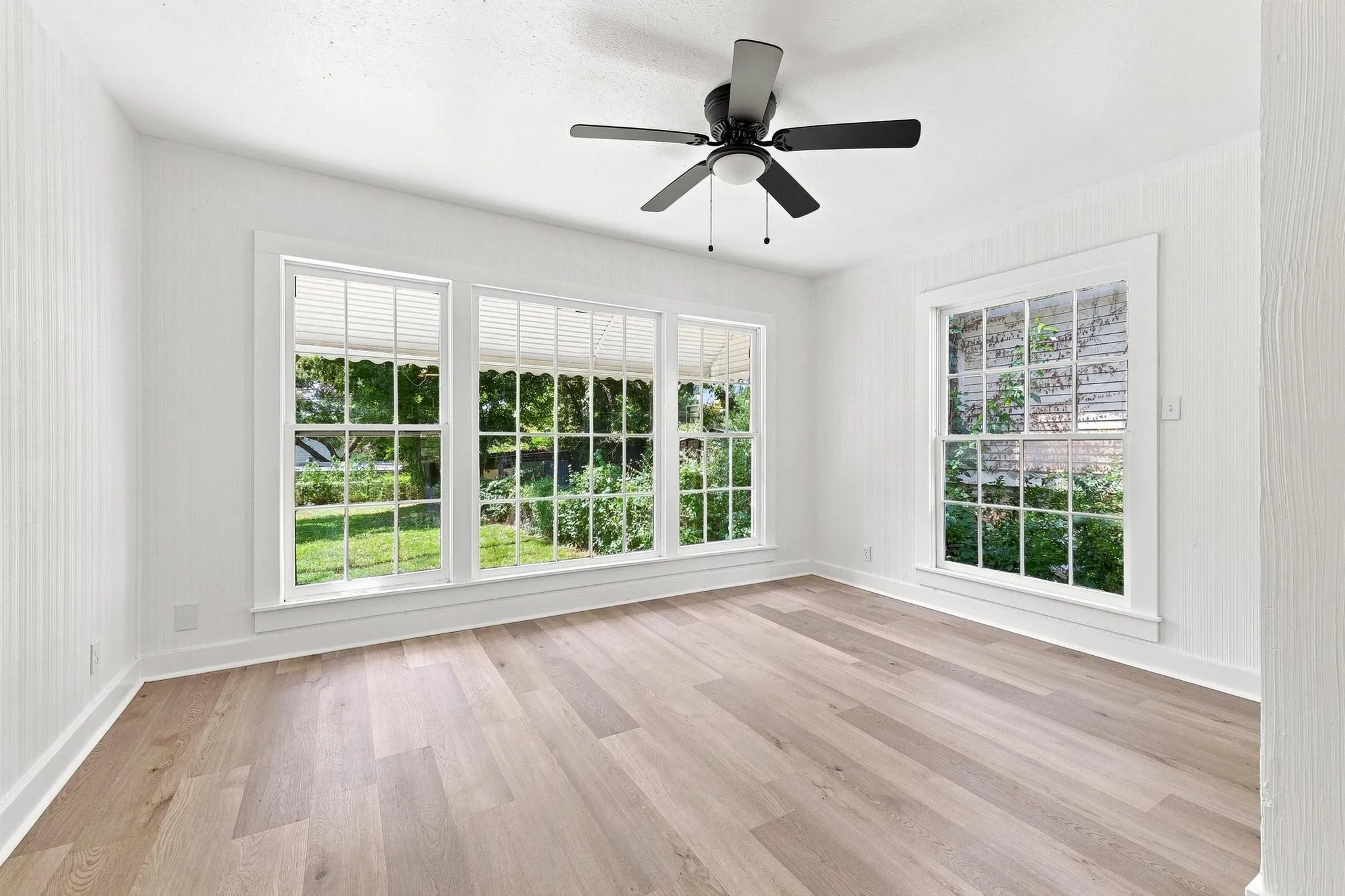 Bright interior featuring light wood-finish flooring, white paneled walls, and a black ceiling fan with an integrated light kit
